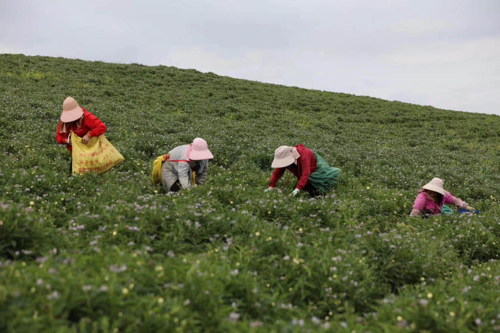 【云报全媒体走进曲靖】陆良县：“联谊+”携手并进促跨越