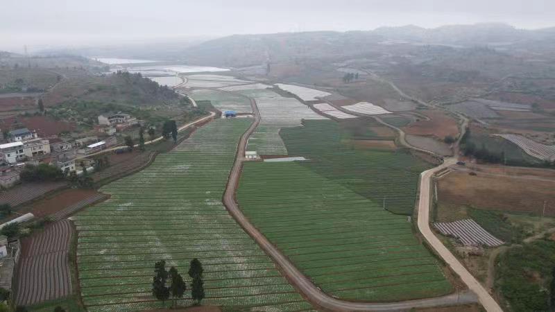 【云报全媒体走进曲靖】陆良县：“联谊+”携手并进促跨越