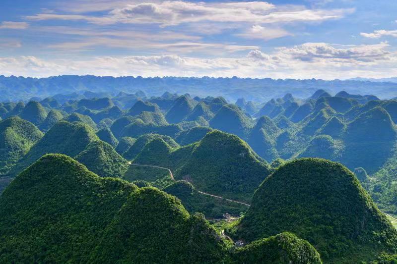 看花观山望水忆乡愁 罗平县全域旅游“多点开花”