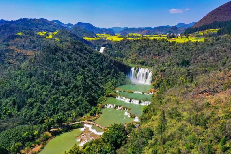 看花观山望水忆乡愁 罗平县全域旅游“多点开花”