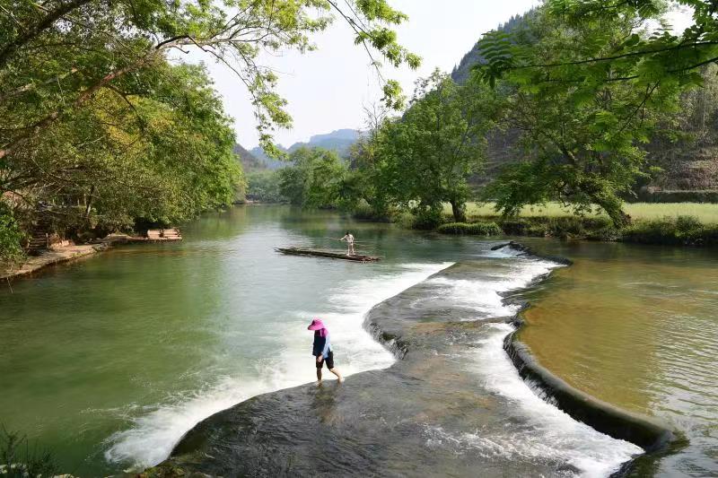 看花观山望水忆乡愁 罗平县全域旅游“多点开花”