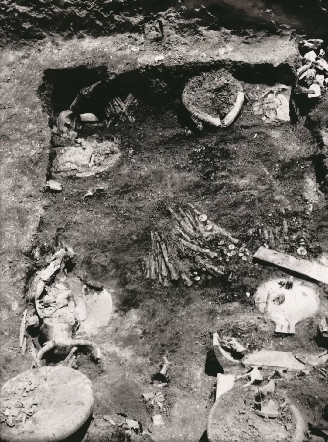 图自云南省博物馆