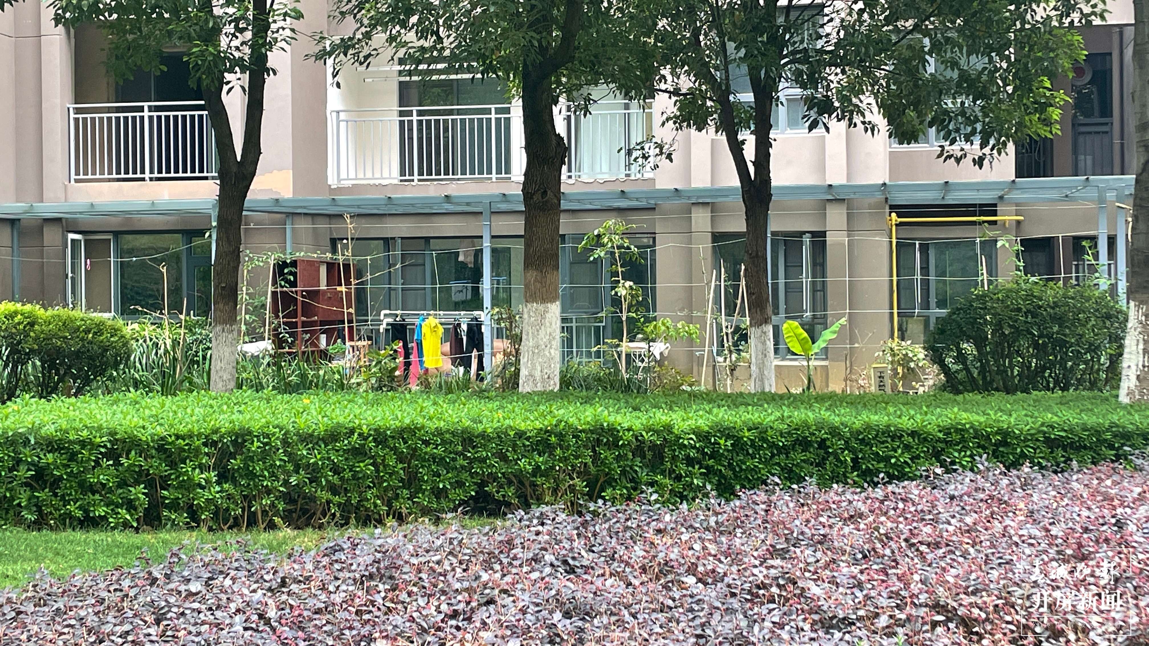 昆明一小区业主私圈公共绿地建成自家“后花园”(开屏新闻记者 马艺宁 摄)