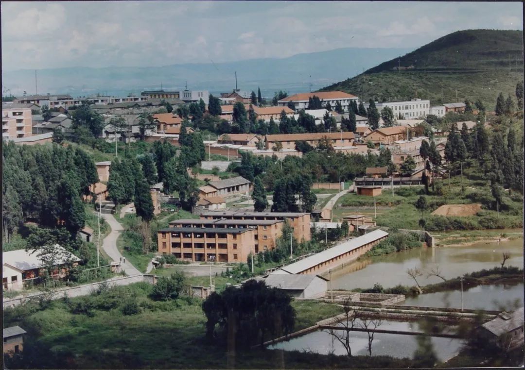 【跟党奋进 青春云南】第3集 创业