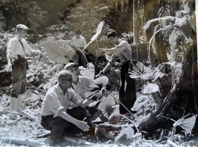 【跟党奋进 青春云南】第3集 创业