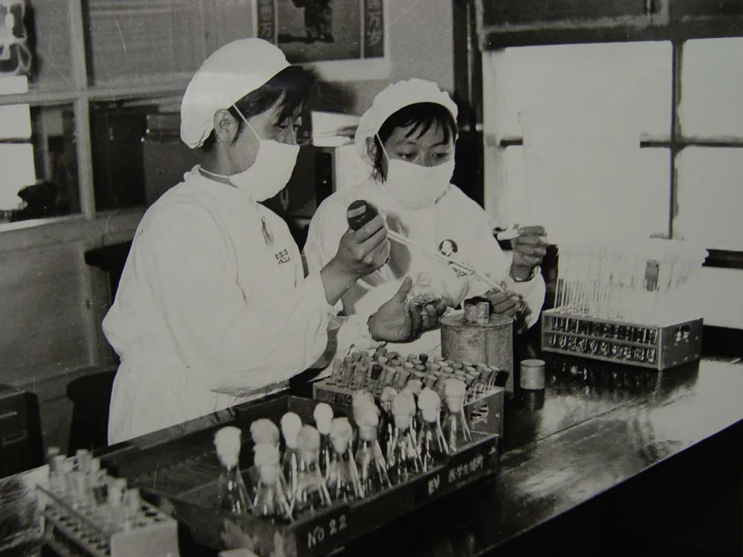 【跟党奋进 青春云南】第3集 创业