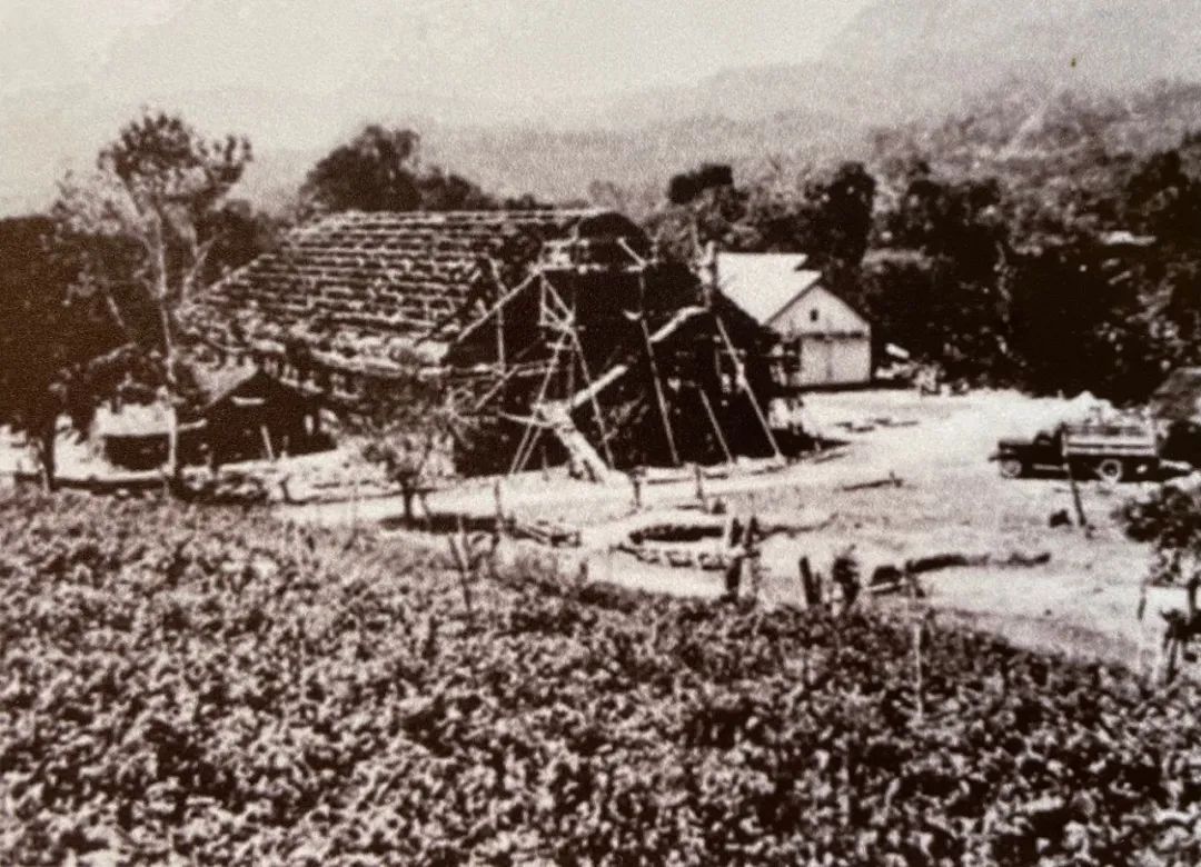 【跟党奋进 青春云南】第3集 创业