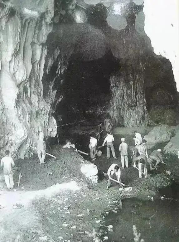 【跟党奋进 青春云南】第3集 创业