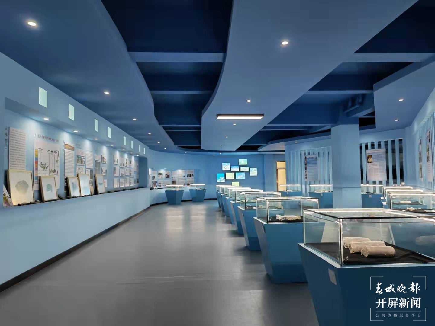 曲靖有个“古鱼王国”  蒋琼波 摄