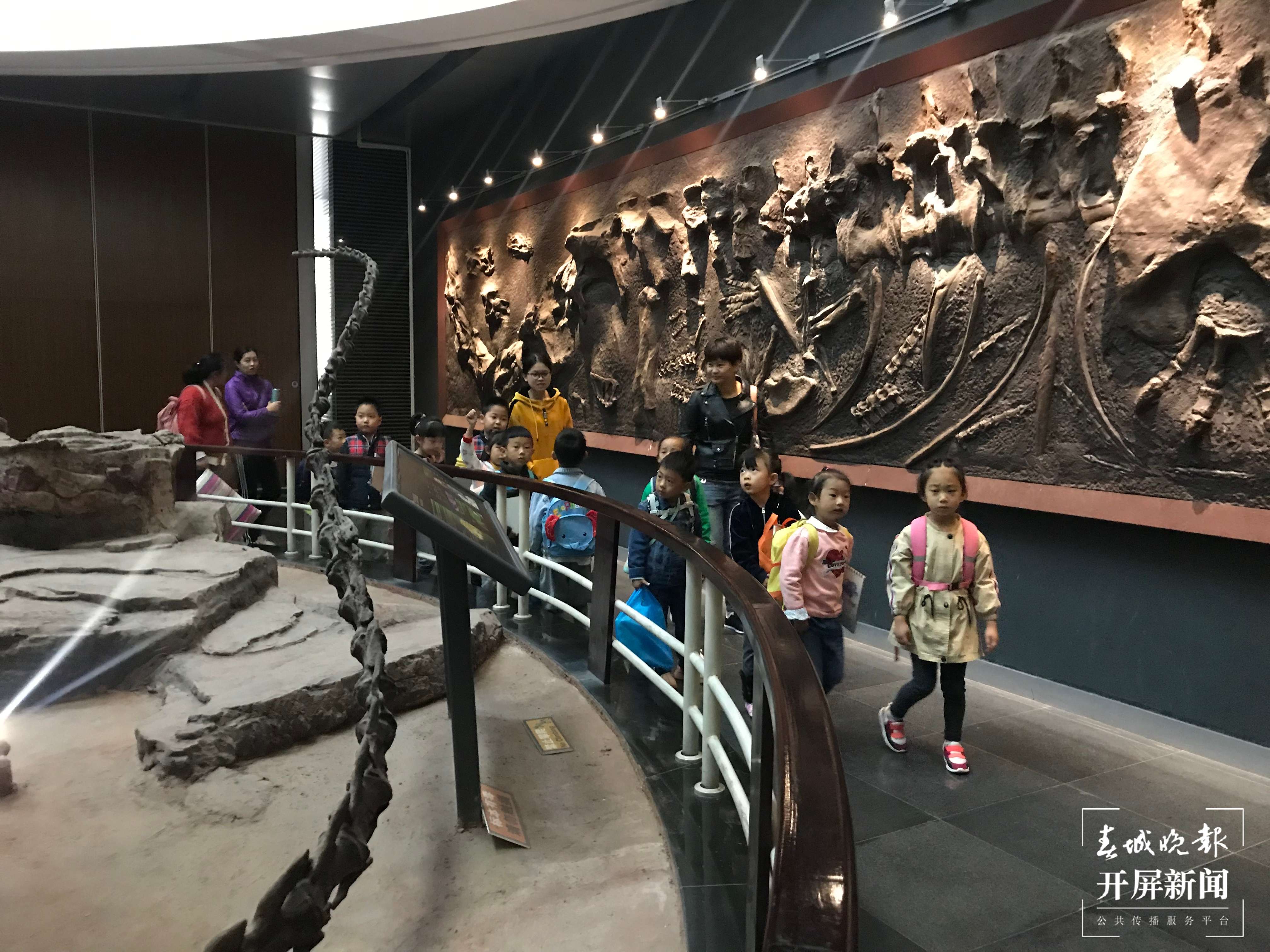 大年初四至初六，昆明动物博物馆正常开放（开屏新闻记者摄）