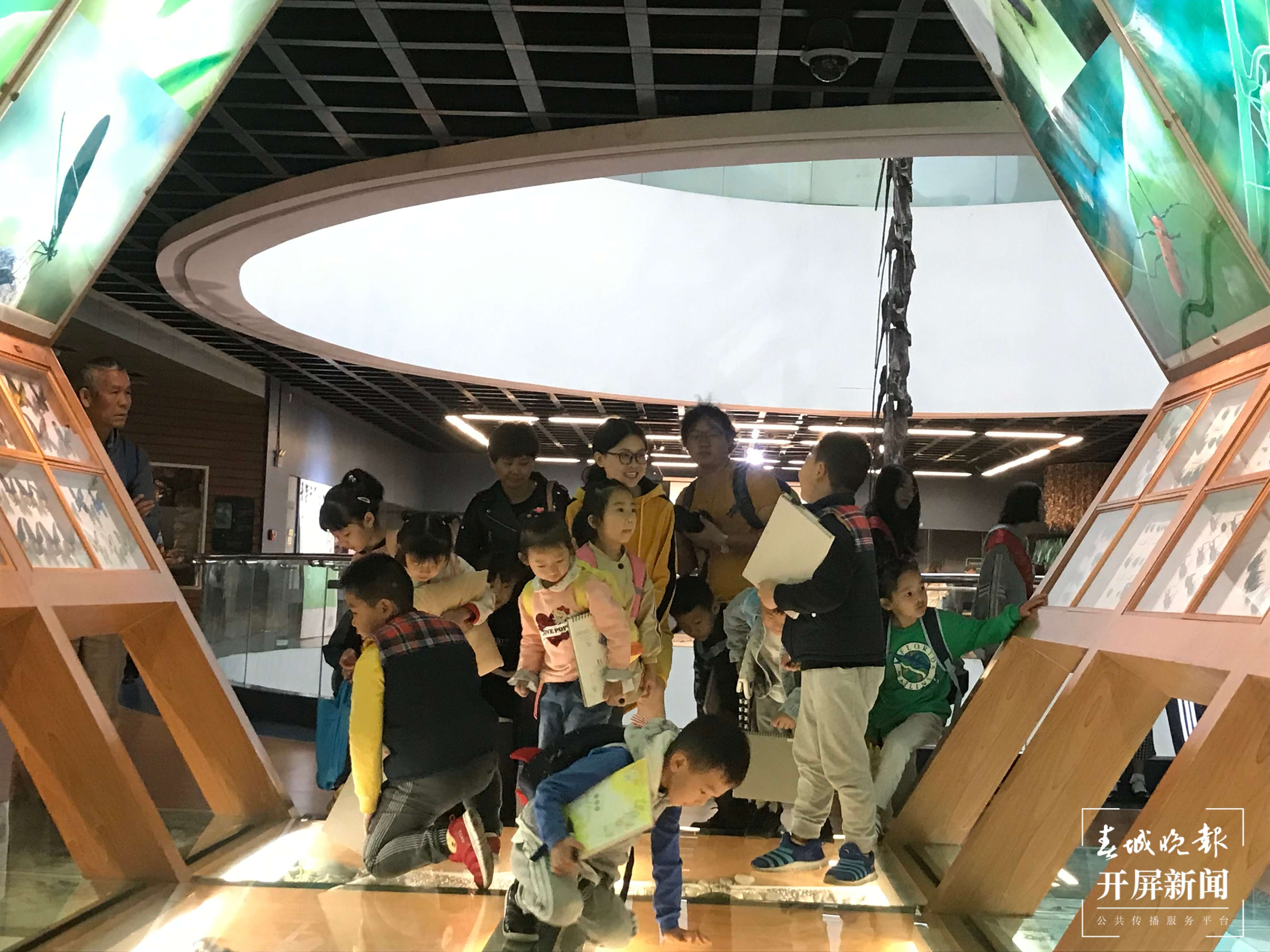 大年初四至初六，昆明动物博物馆正常开放（开屏新闻记者摄）