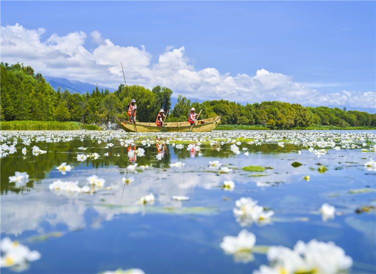 “立此存照” 给子孙留下最好的洱海2.jpg