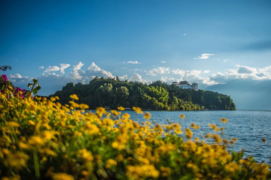 《人民日报》聚焦!外国友人点赞洱海湿地生态治理
