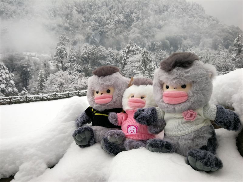 “灵乐乐”的小滇金丝猴毛绒公仔