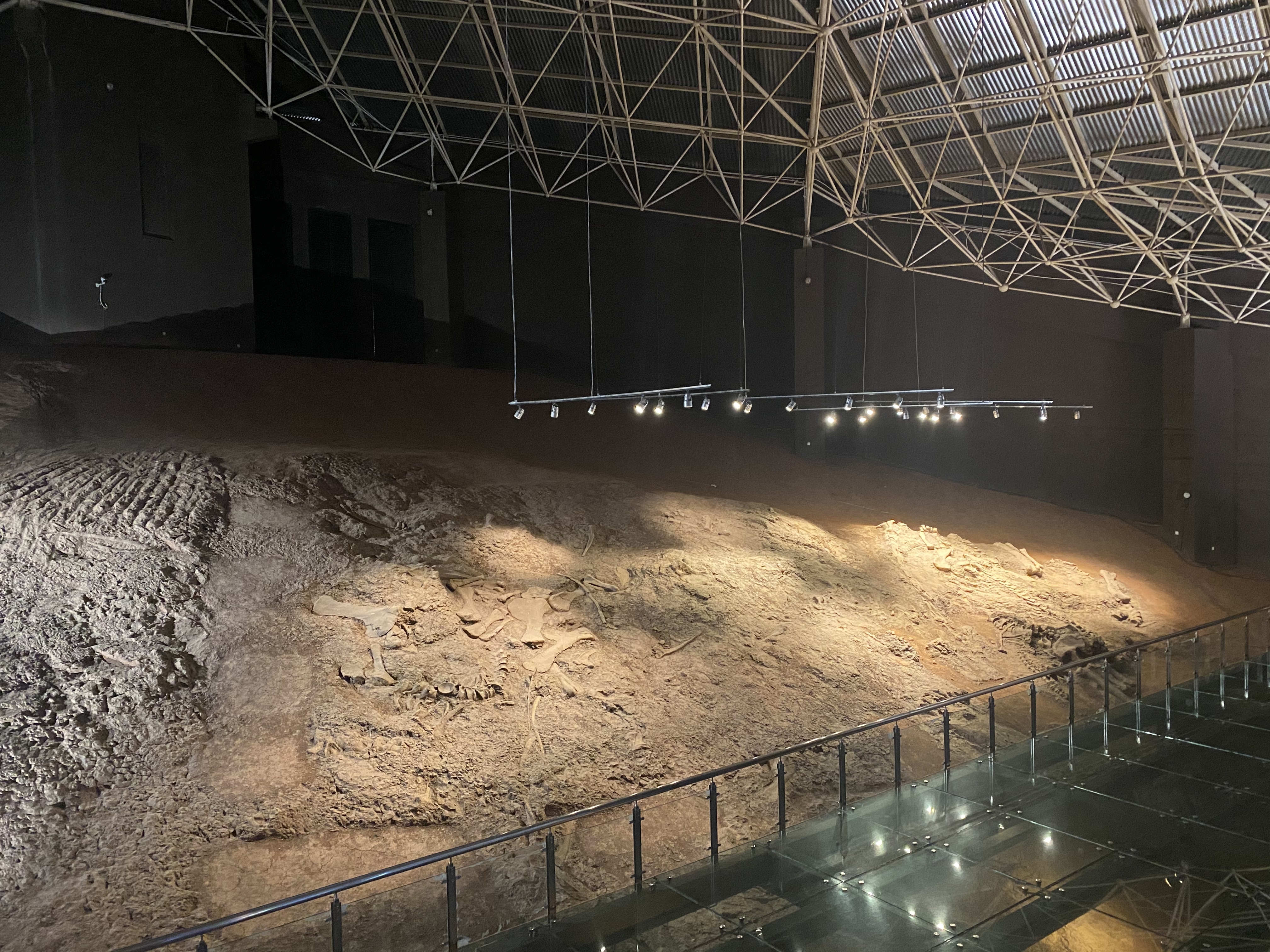 禄丰世界恐龙谷：穿越1.6亿年时空“重返侏罗纪”（孙琴霞 摄）