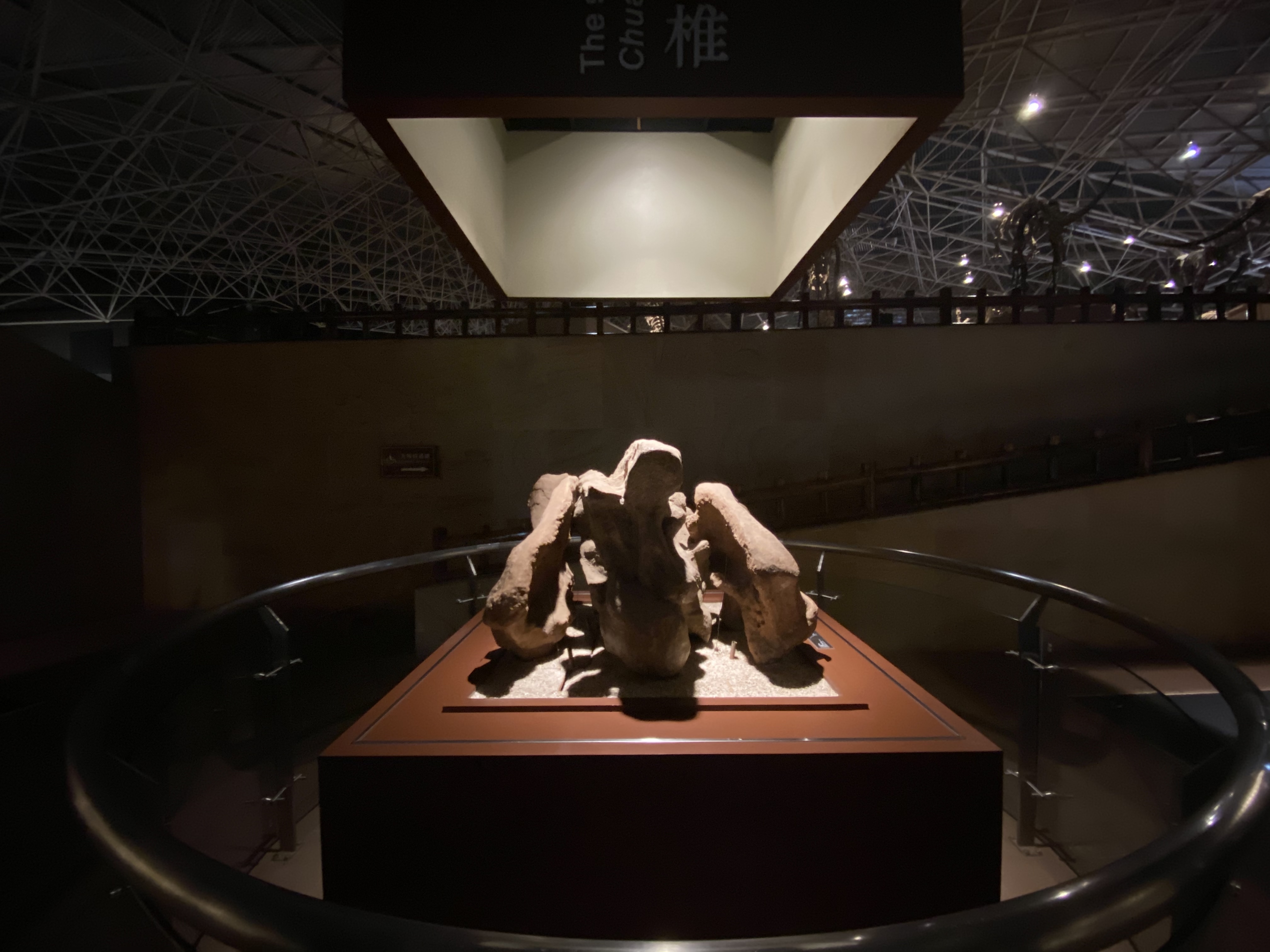 禄丰世界恐龙谷：穿越1.6亿年时空“重返侏罗纪”（孙琴霞 摄）