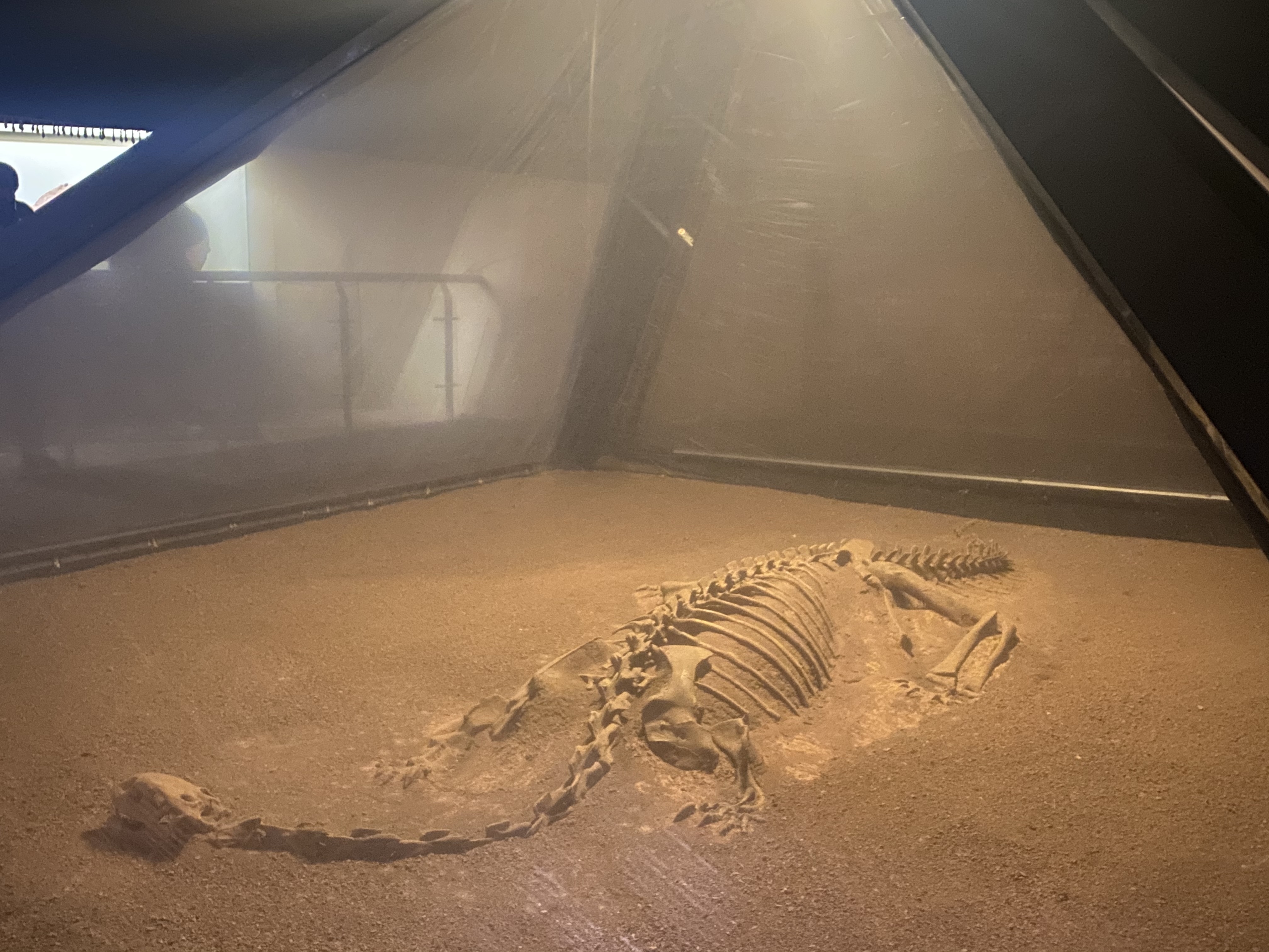 禄丰世界恐龙谷：穿越1.6亿年时空“重返侏罗纪”（孙琴霞 摄）