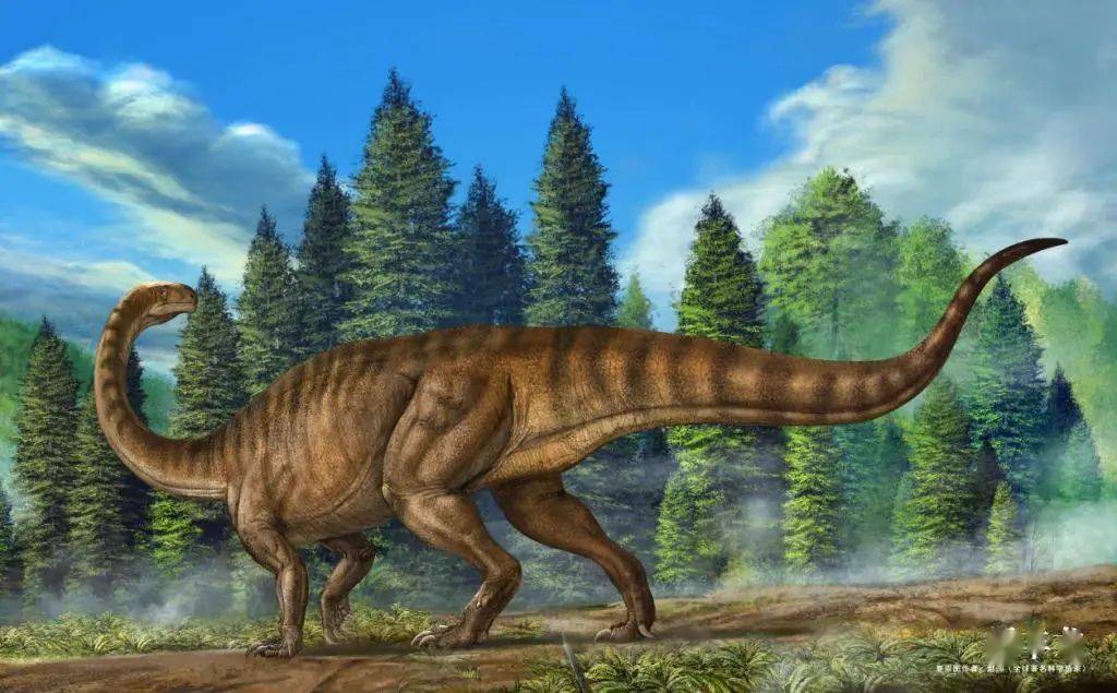 许氏禄丰龙复原图（绘制：赵闯）