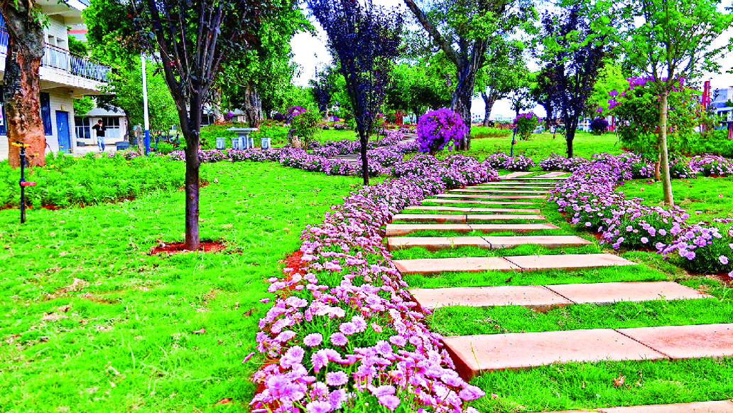 云南三鑫职业技术学院