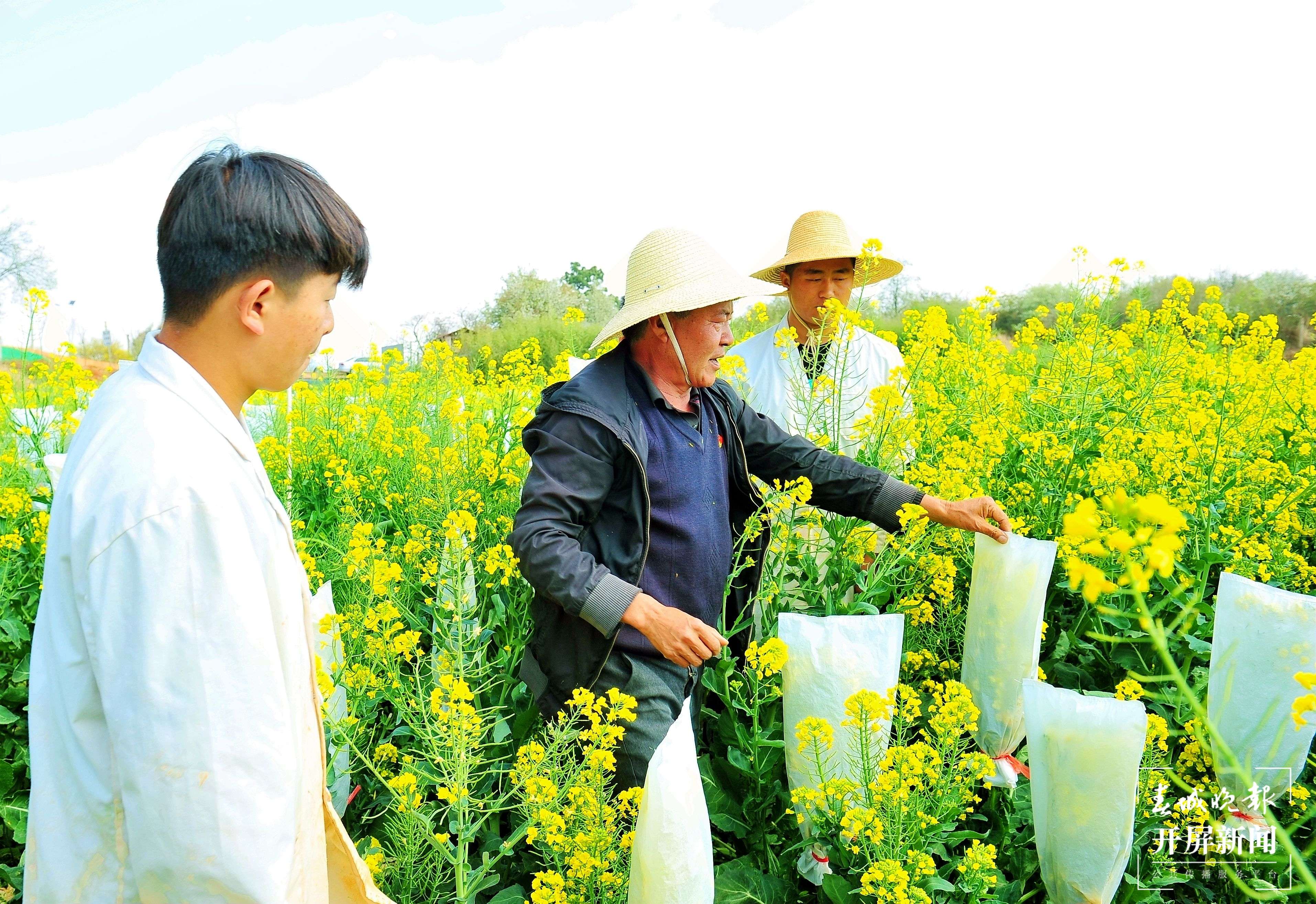 云南农业职业技术学院
