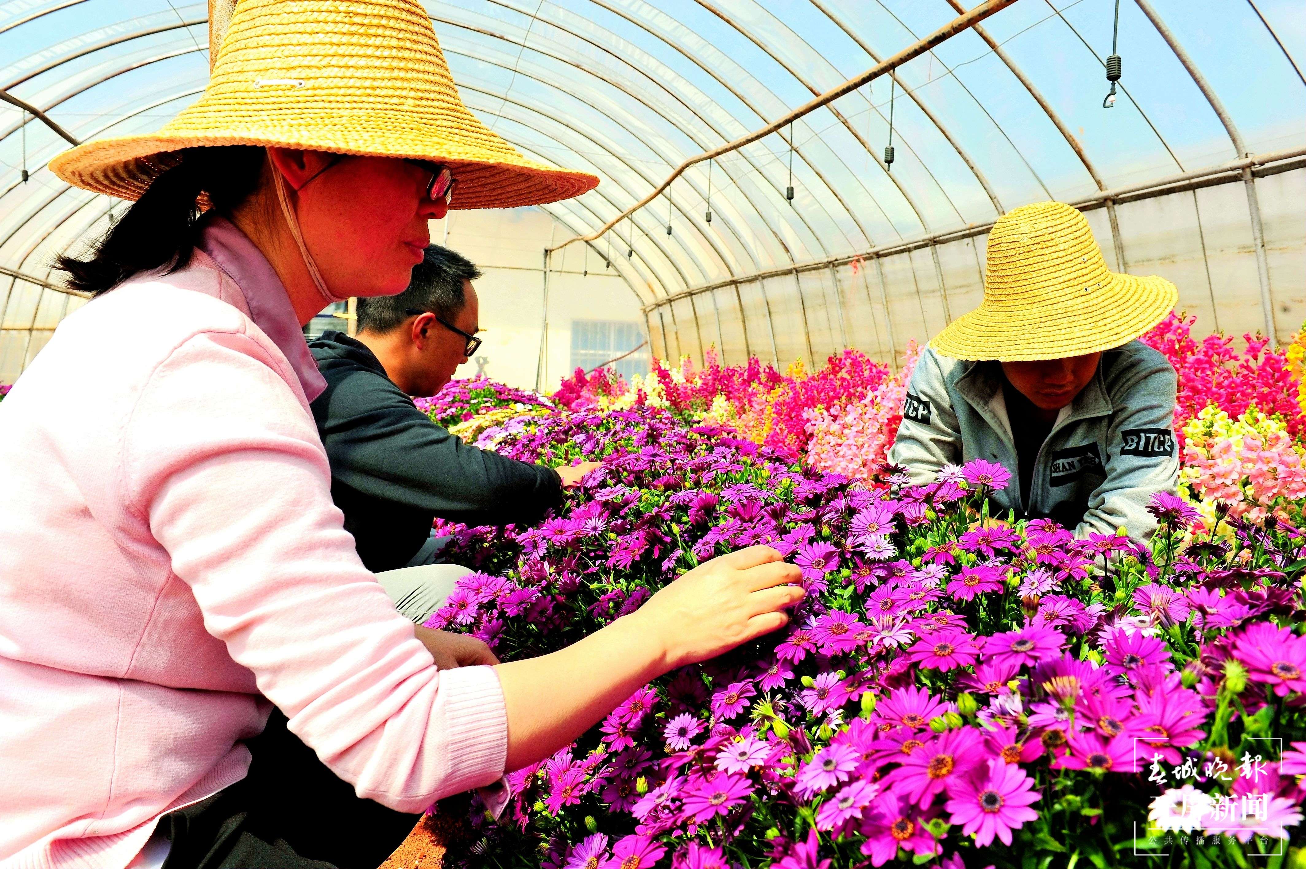 云南农业职业技术学院