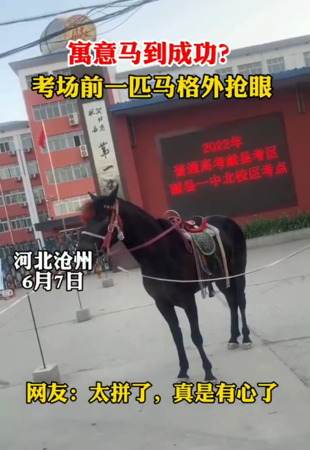 高考啦！考场外，他们在干啥？