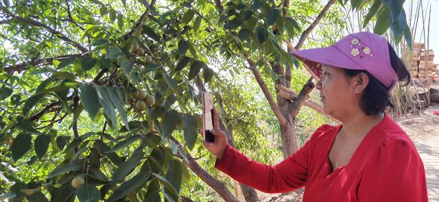 郭顺芳：“网红”独臂女