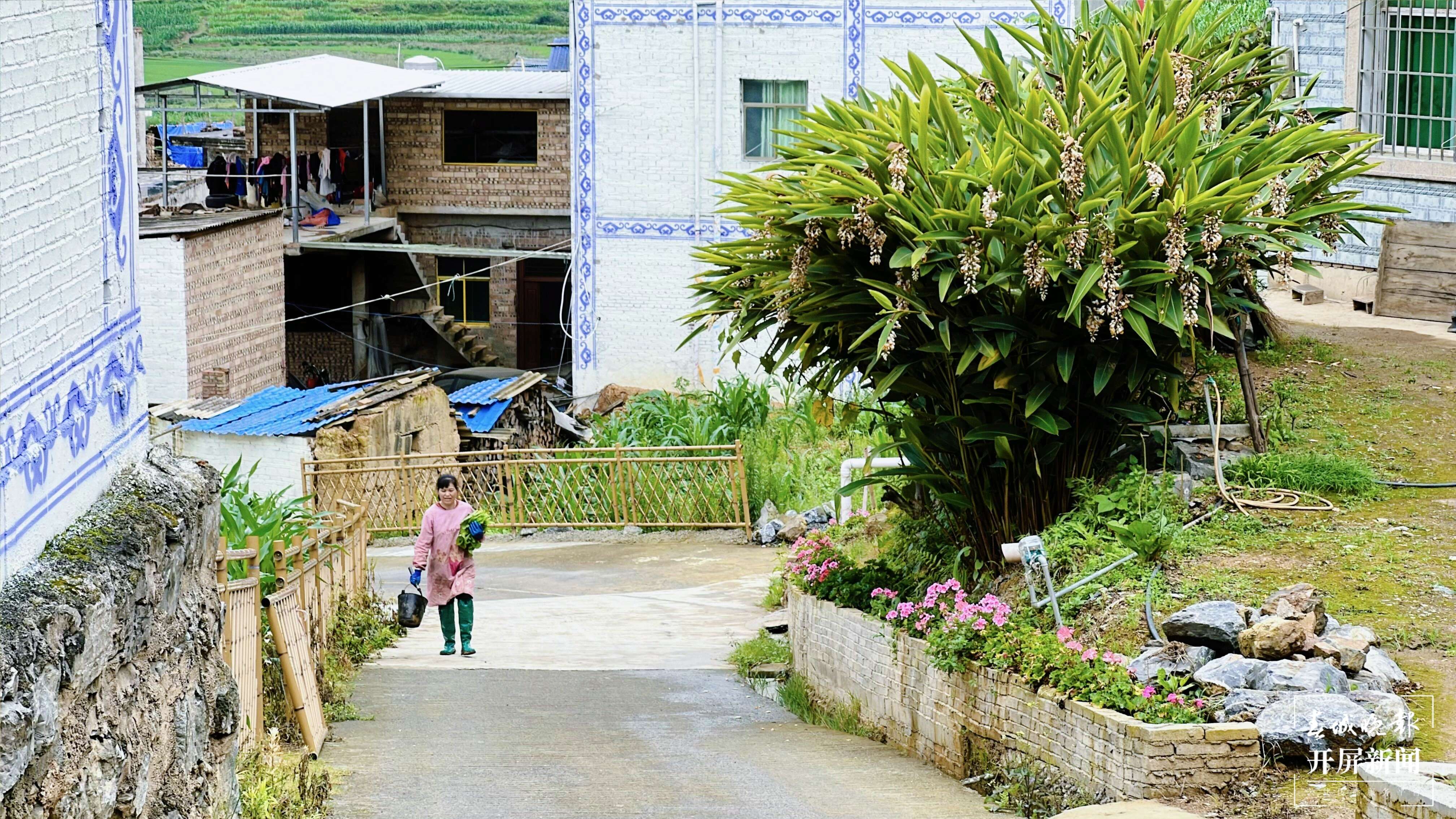 砚山县六掌村：花满山乡幸福来4.jpg