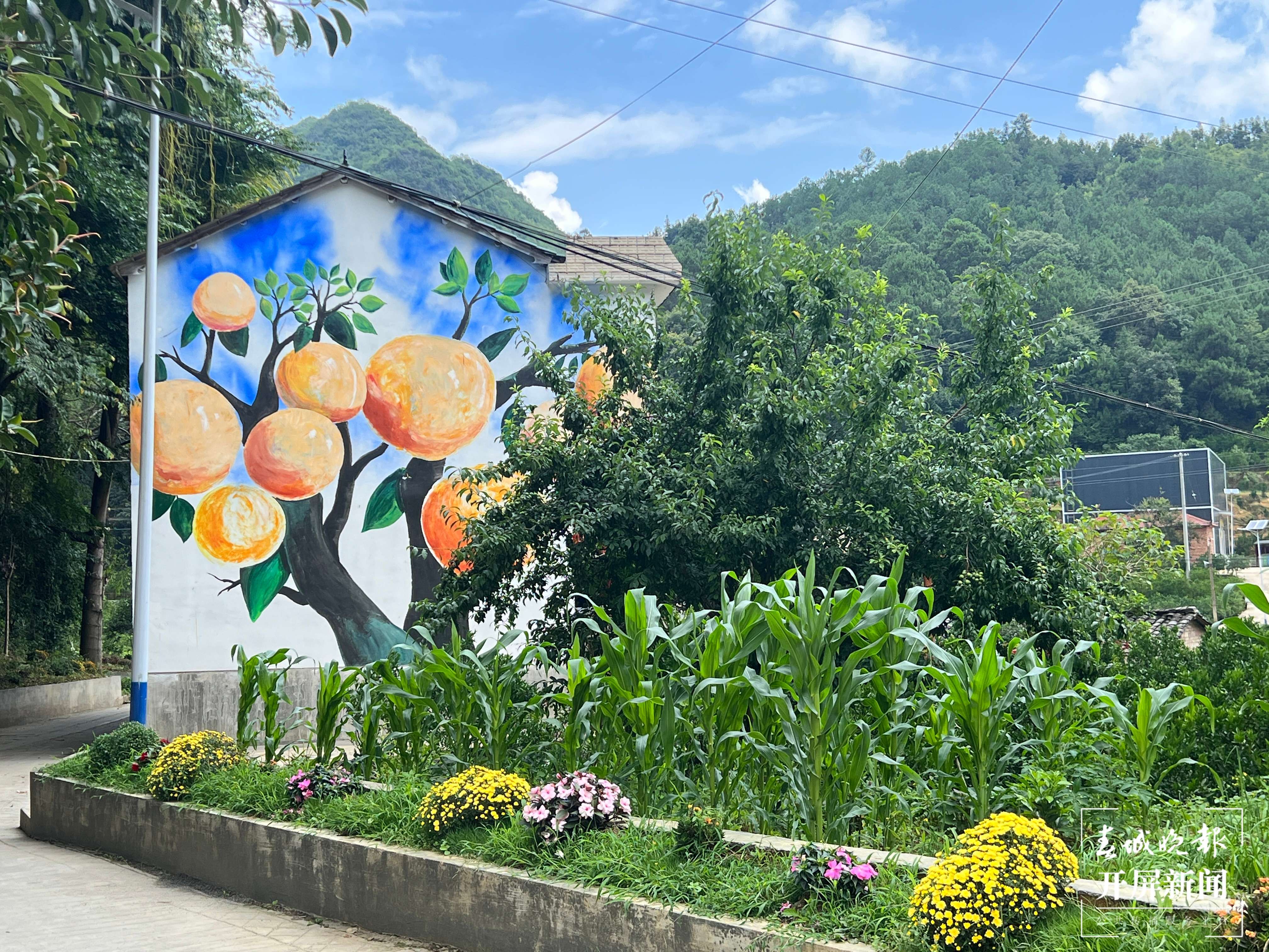 逐梦绿美 好在文山｜西畴水美乡村建设（）