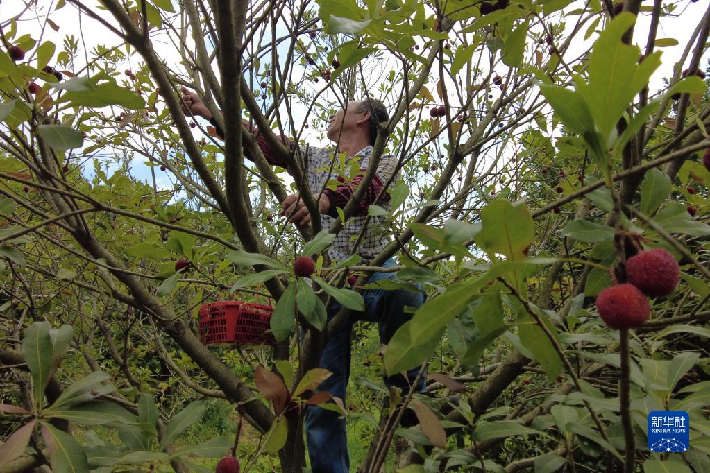 走进县城看发展丨浙江德清：“小县城”闯出产业发展新天地
