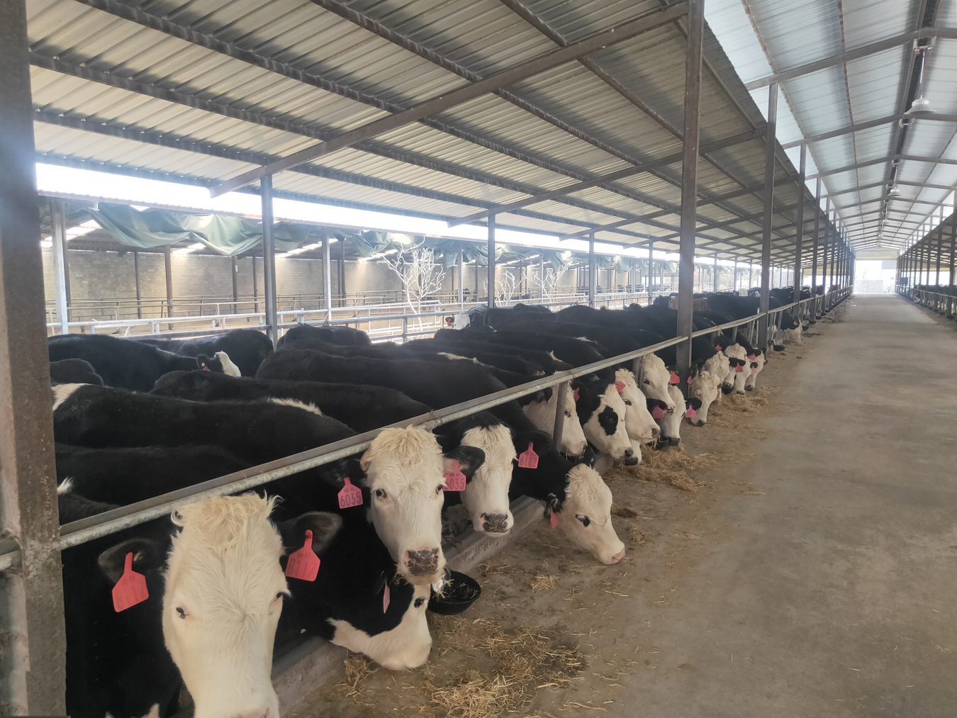 全市经济总体呈现企稳回升态势,增速提高至云南第七名 崔敏 实习生 康鹏 唐彦青 梁婕 陈蕾 摄