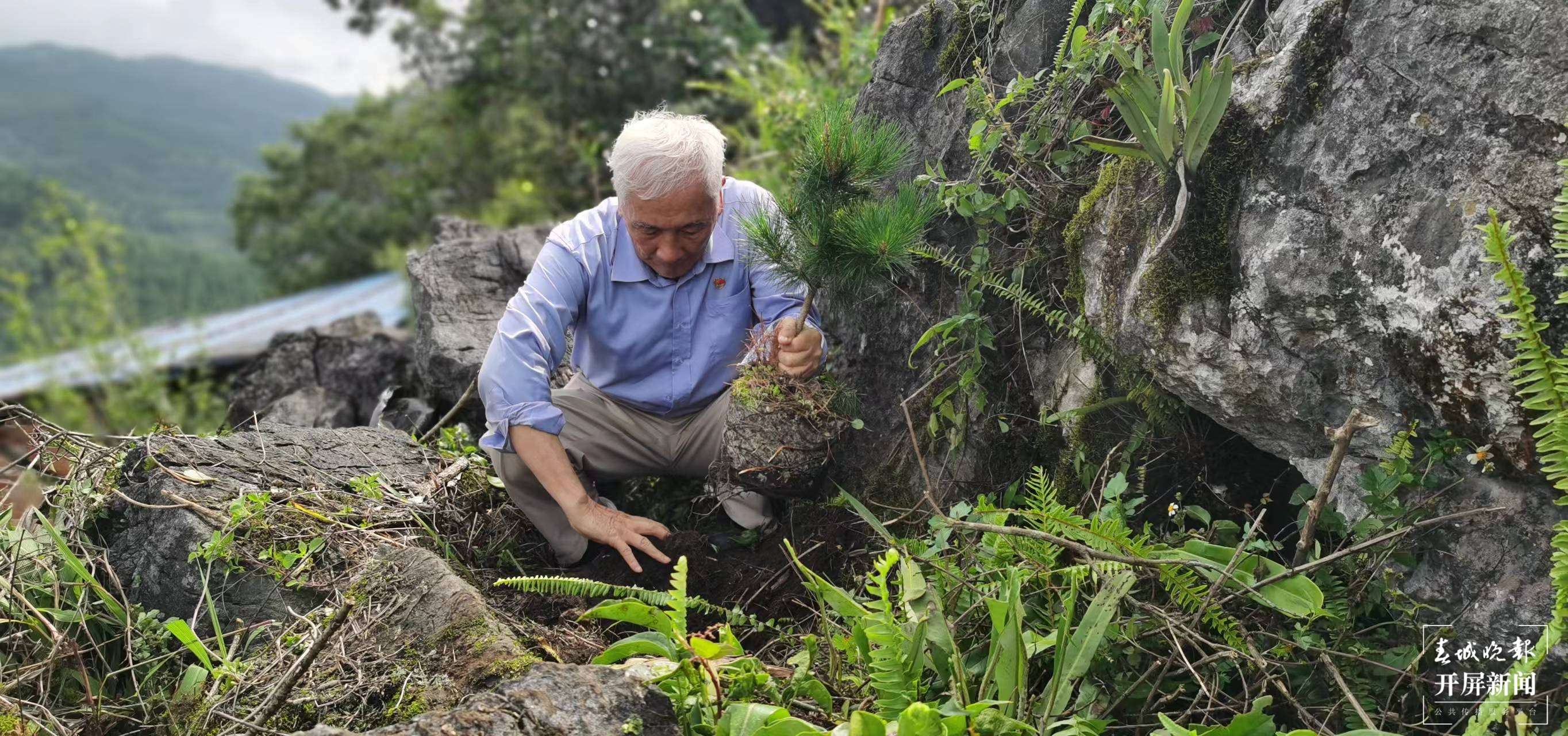 逐梦绿美 好在文山 | 蔡大章：守初心做绿水青山守护人
