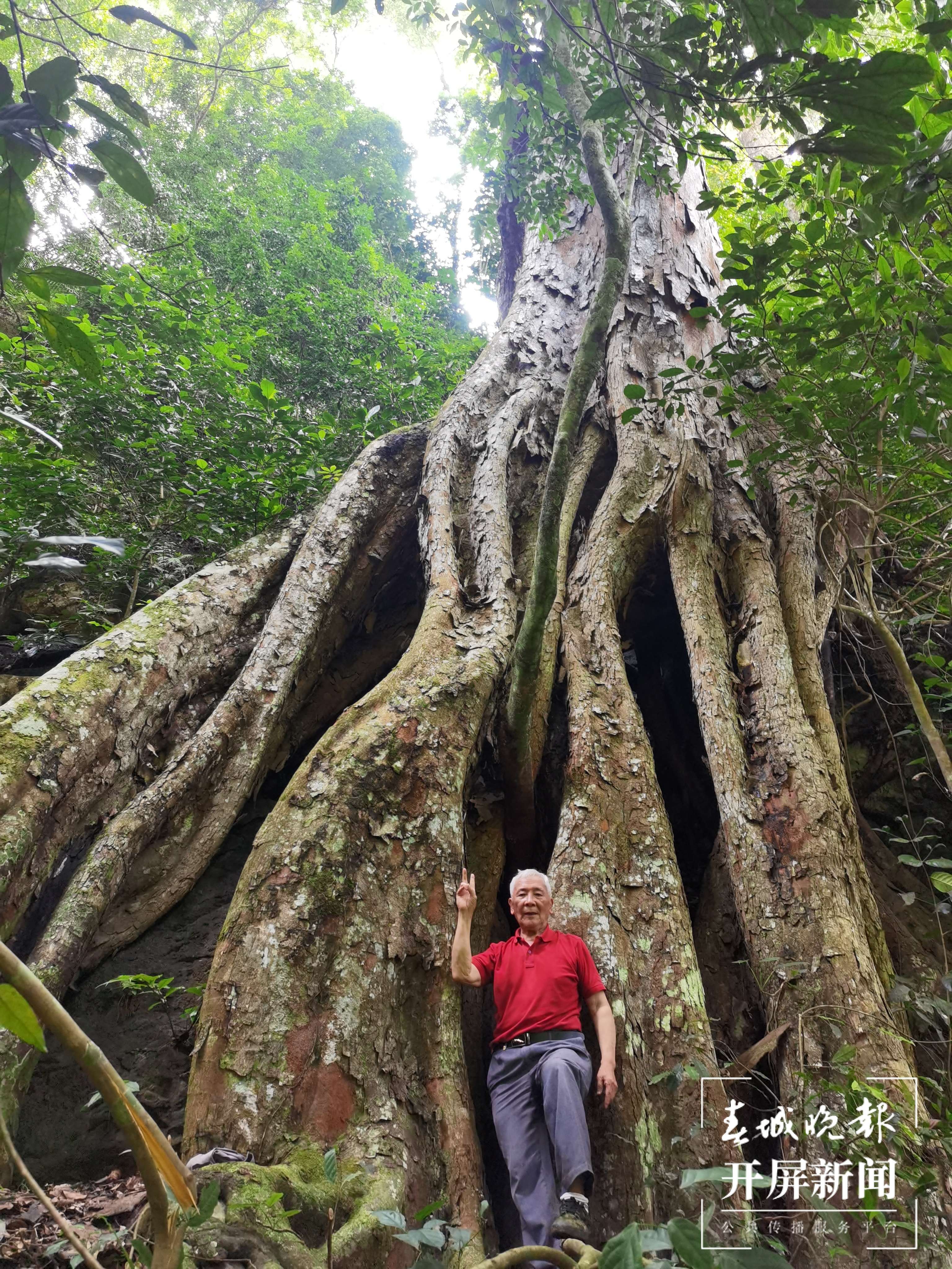 逐梦绿美 好在文山 | 蔡大章：守初心做绿水青山守护人