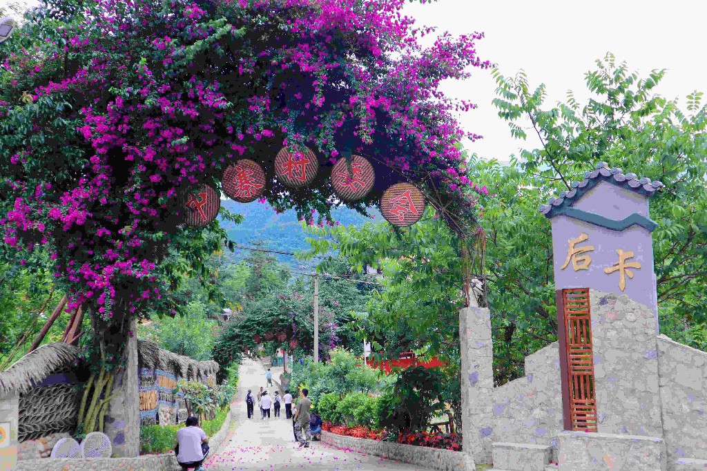 逐梦绿美 好在文山 | 西畴后卡村：风景这边独好