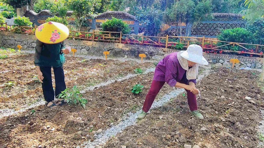 逐梦绿美 好在文山 | 西畴后卡村：风景这边独好