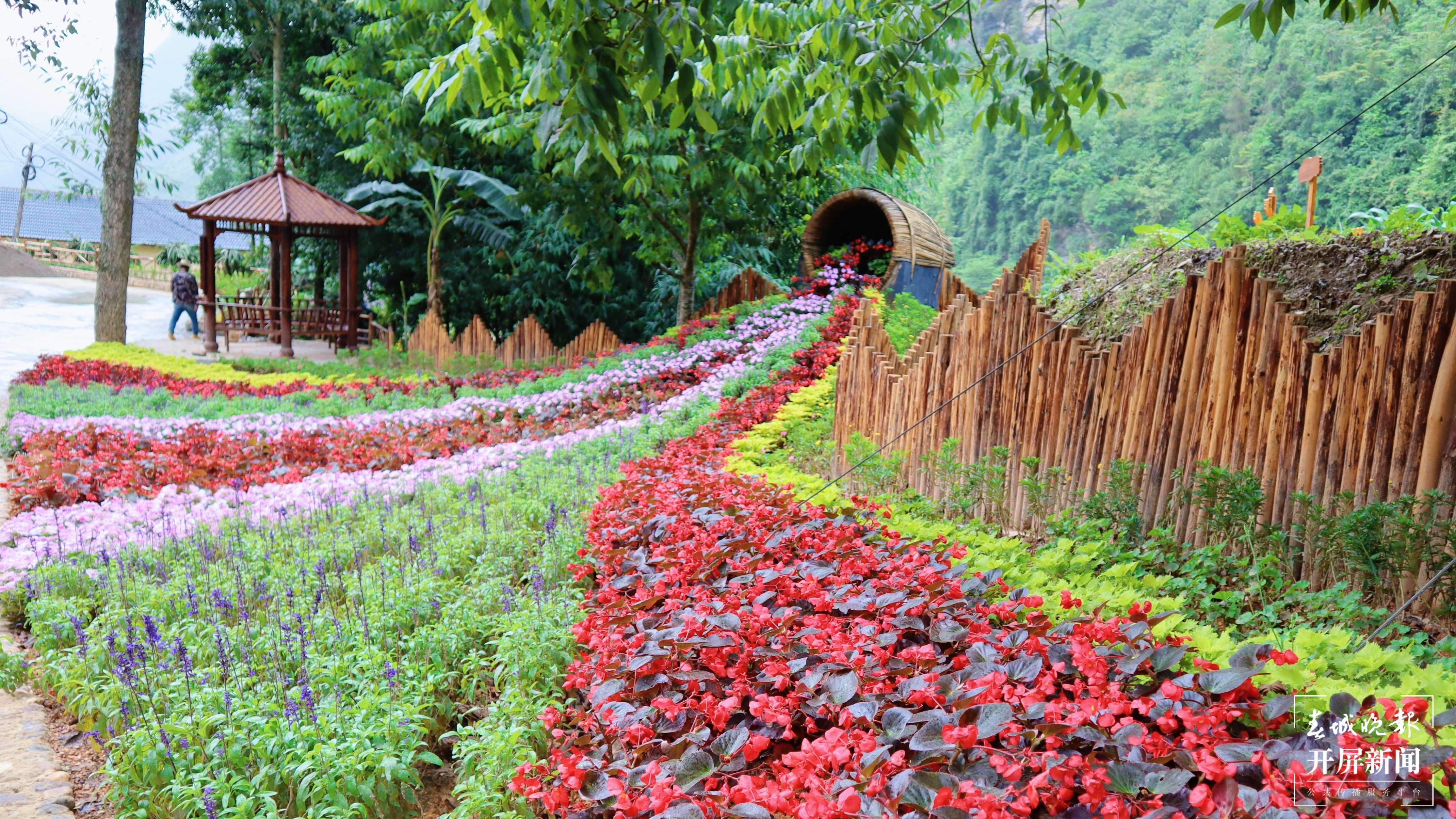 逐梦绿美 好在文山 | 西畴后卡村：风景这边独好
