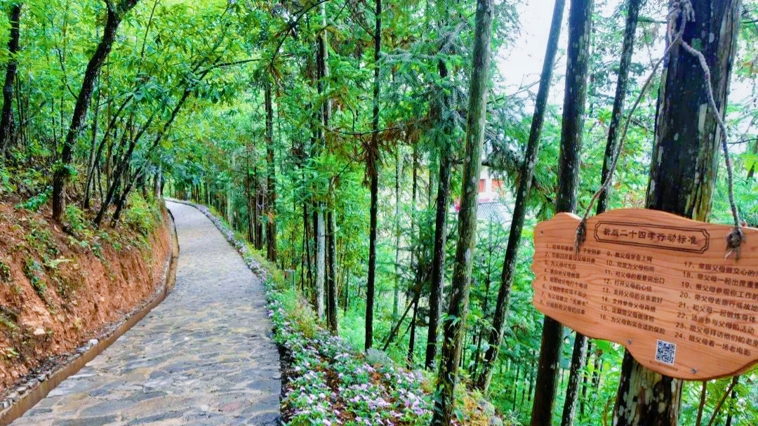 逐梦绿美 好在文山 | 西畴后卡村：风景这边独好