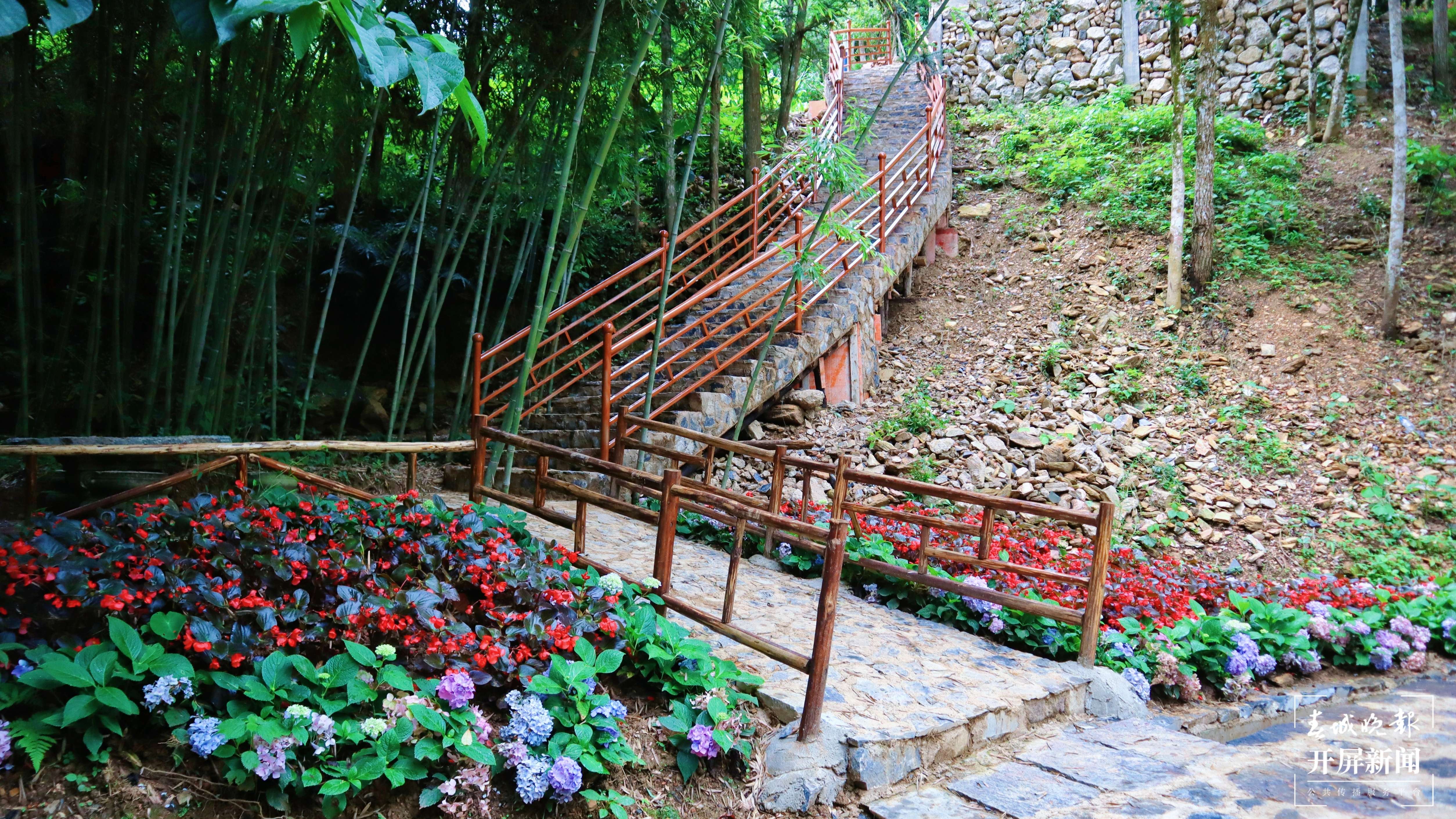 逐梦绿美 好在文山 | 西畴后卡村：风景这边独好