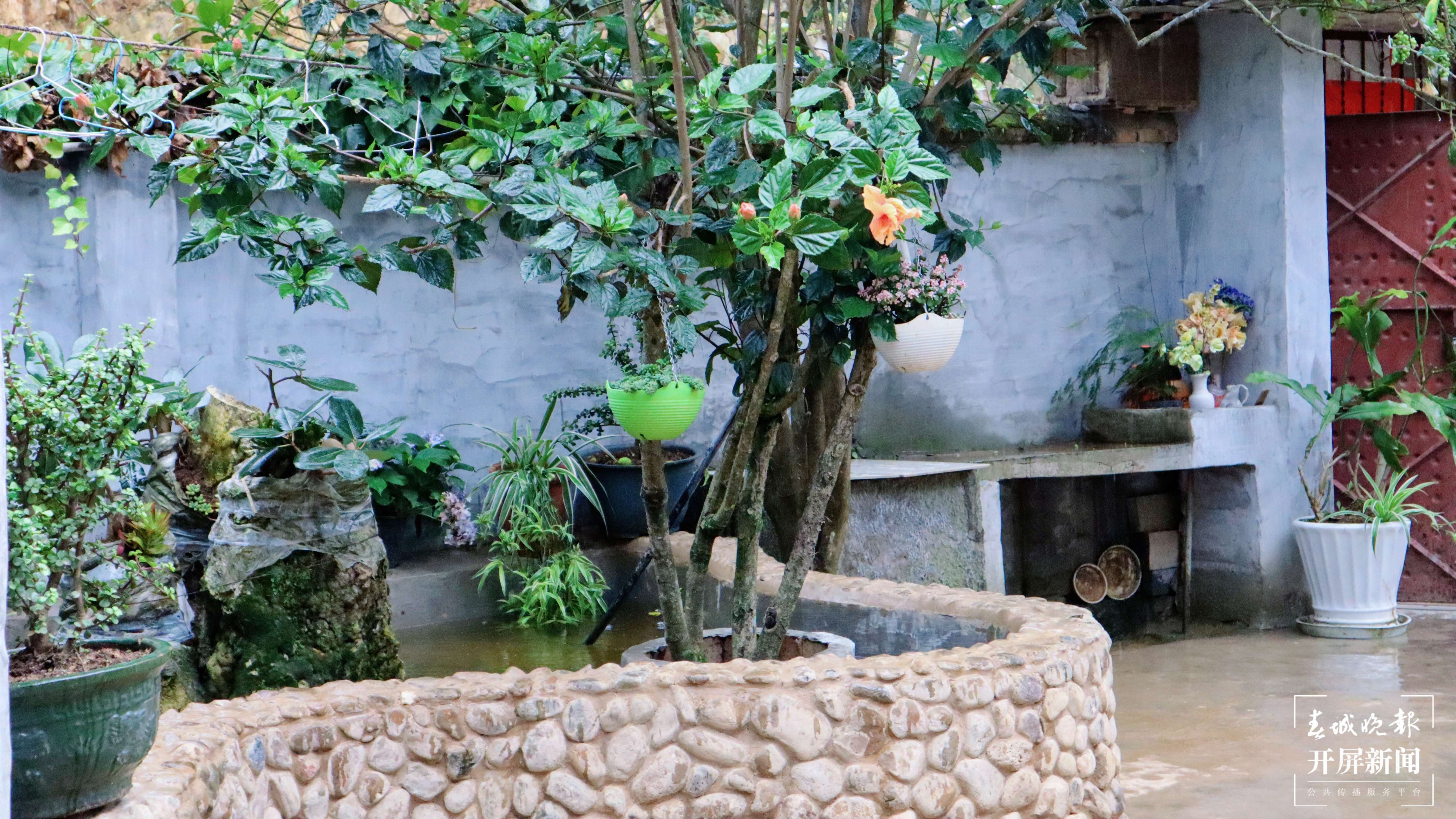 逐梦绿美 好在文山 | 西畴后卡村：风景这边独好