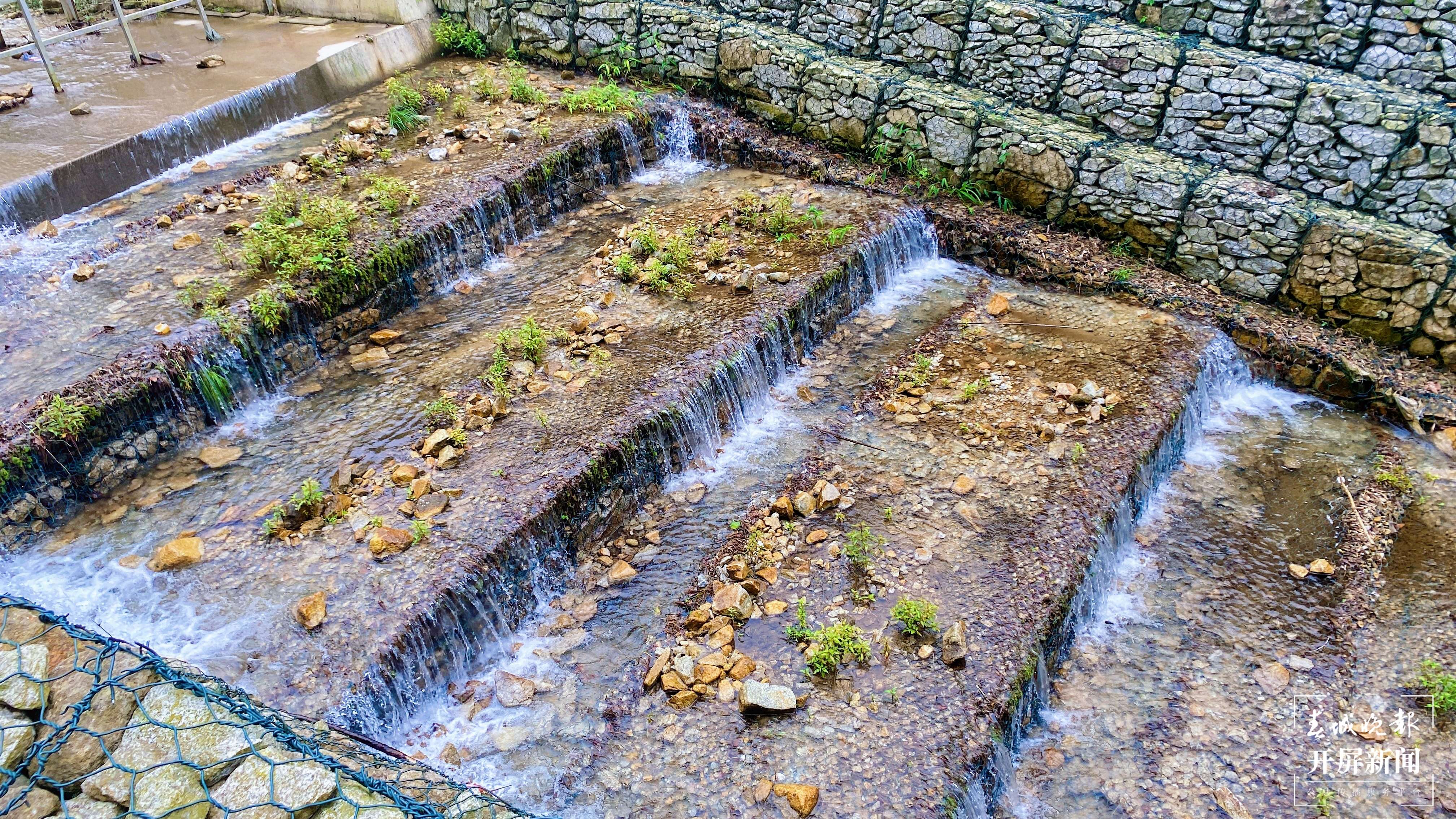 逐梦绿美 好在文山 | 岸绿景美 南北河综合整治现成效
