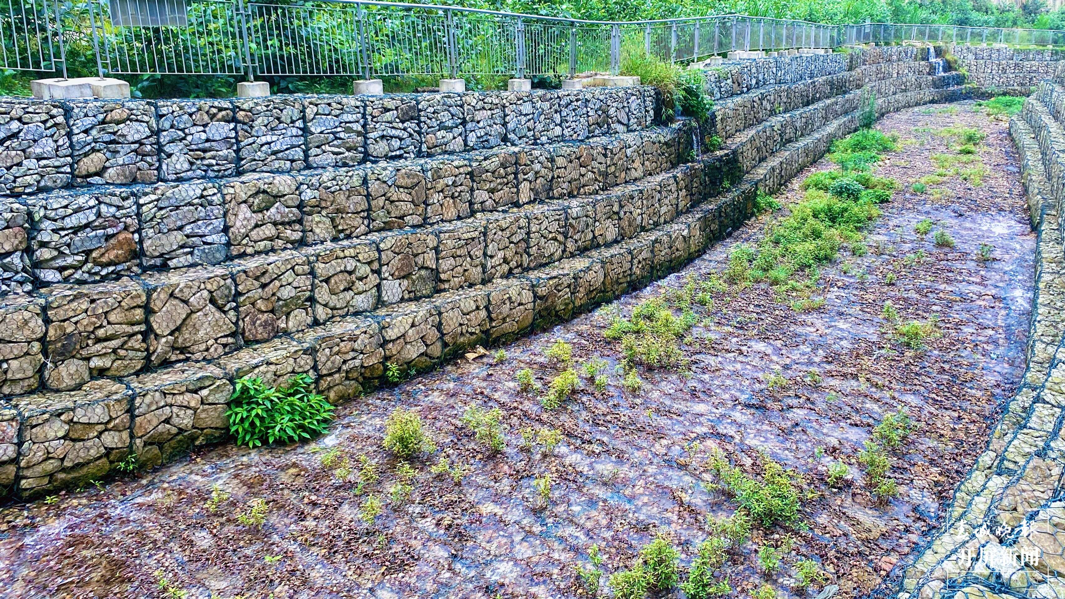 逐梦绿美 好在文山 | 岸绿景美 南北河综合整治现成效