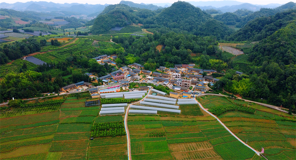 逐梦绿美 好在文山 | 文山沙老寨：自创IP 打造主题创意村庄