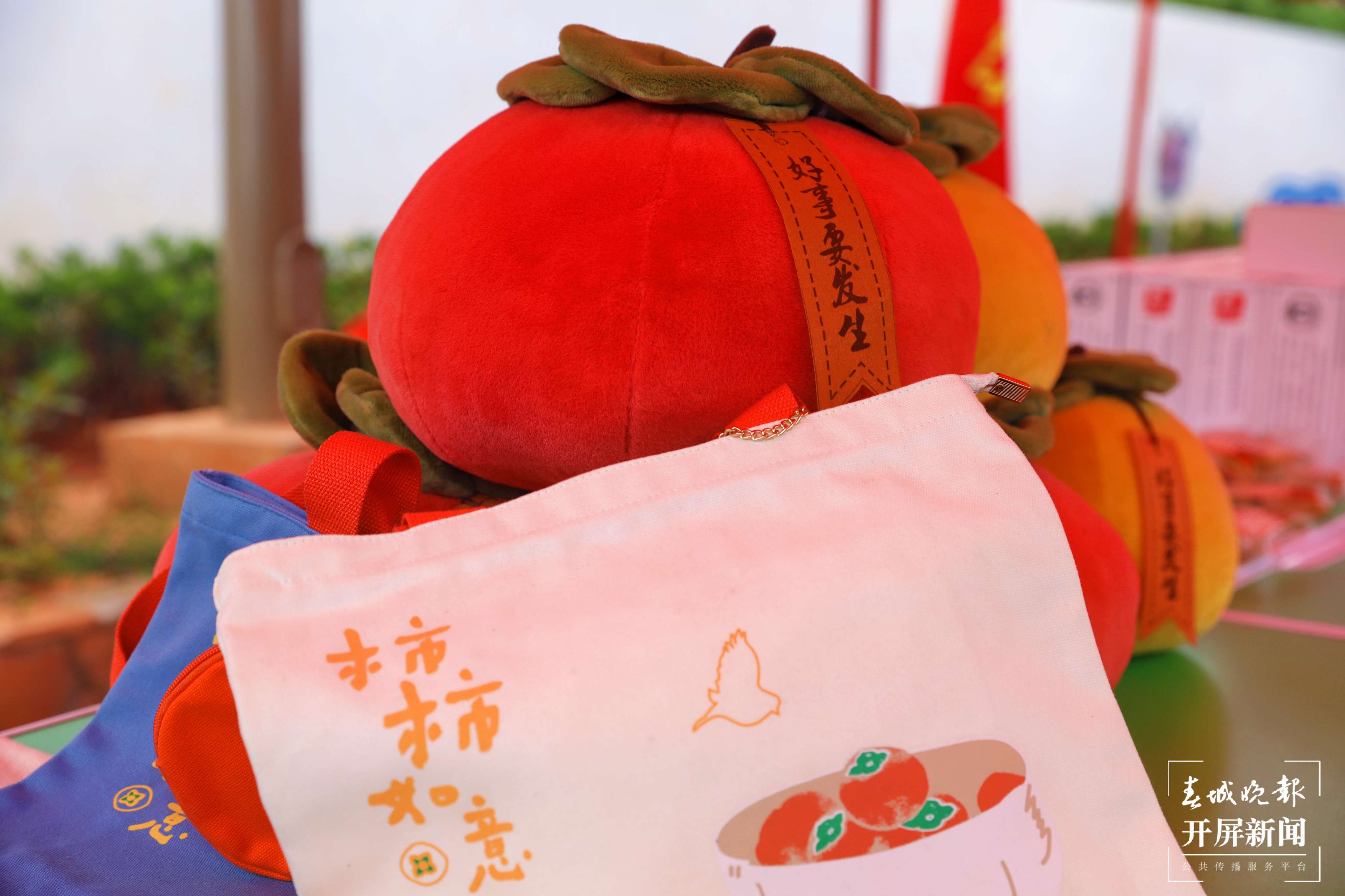 逐梦绿美 好在文山 | 文山沙老寨：自创IP 打造主题创意村庄