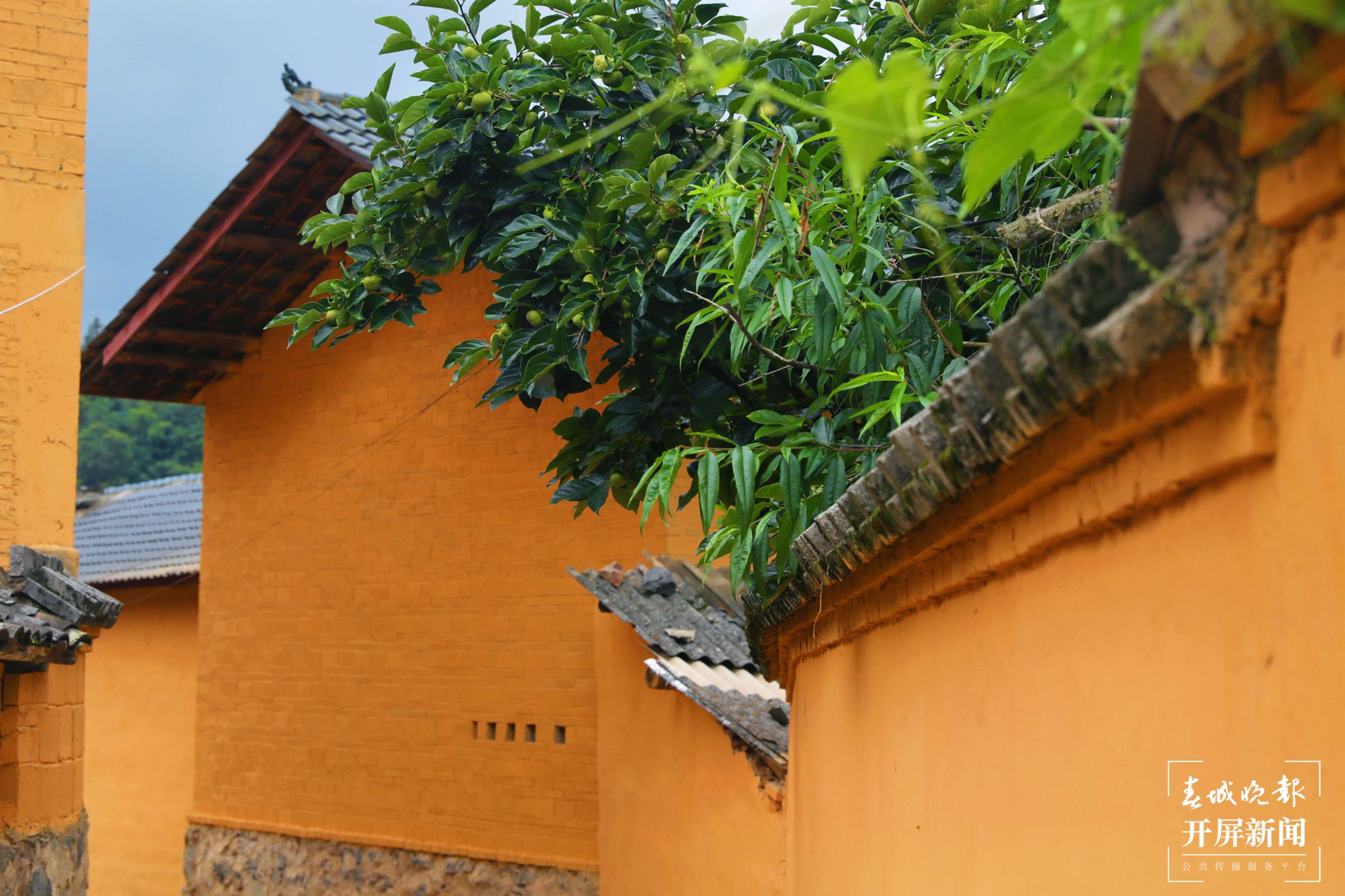 逐梦绿美 好在文山 | 文山沙老寨：自创IP 打造主题创意村庄