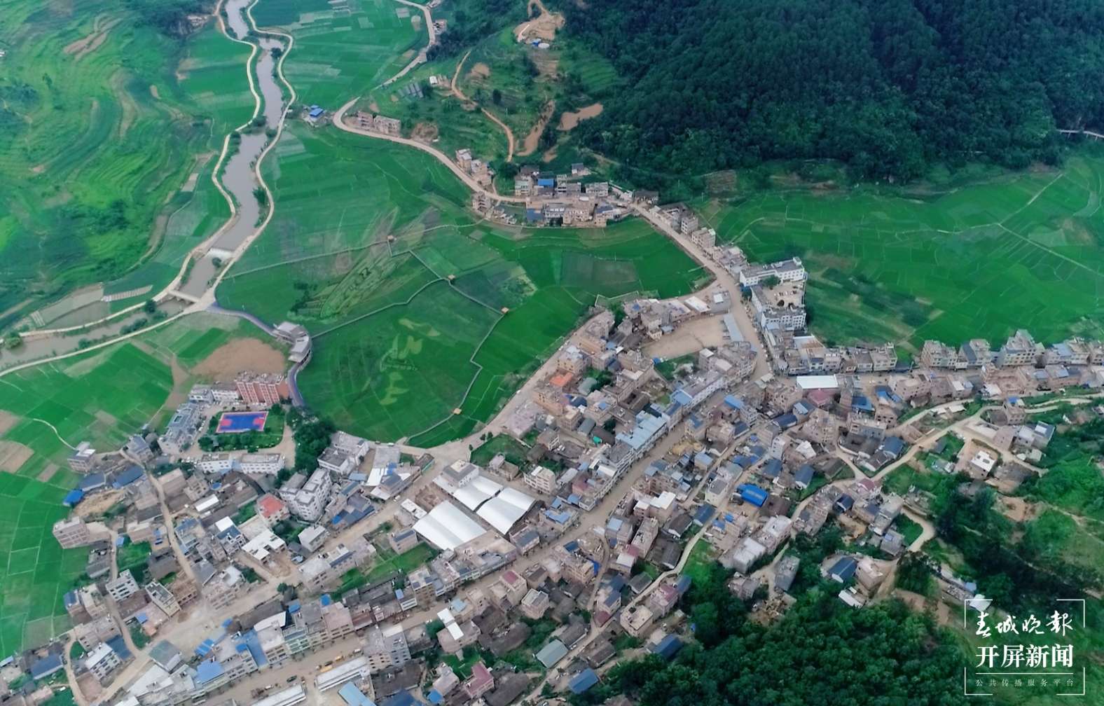 逐梦绿美 好在文山丨生活在这里 幸福指数蹭蹭涨！