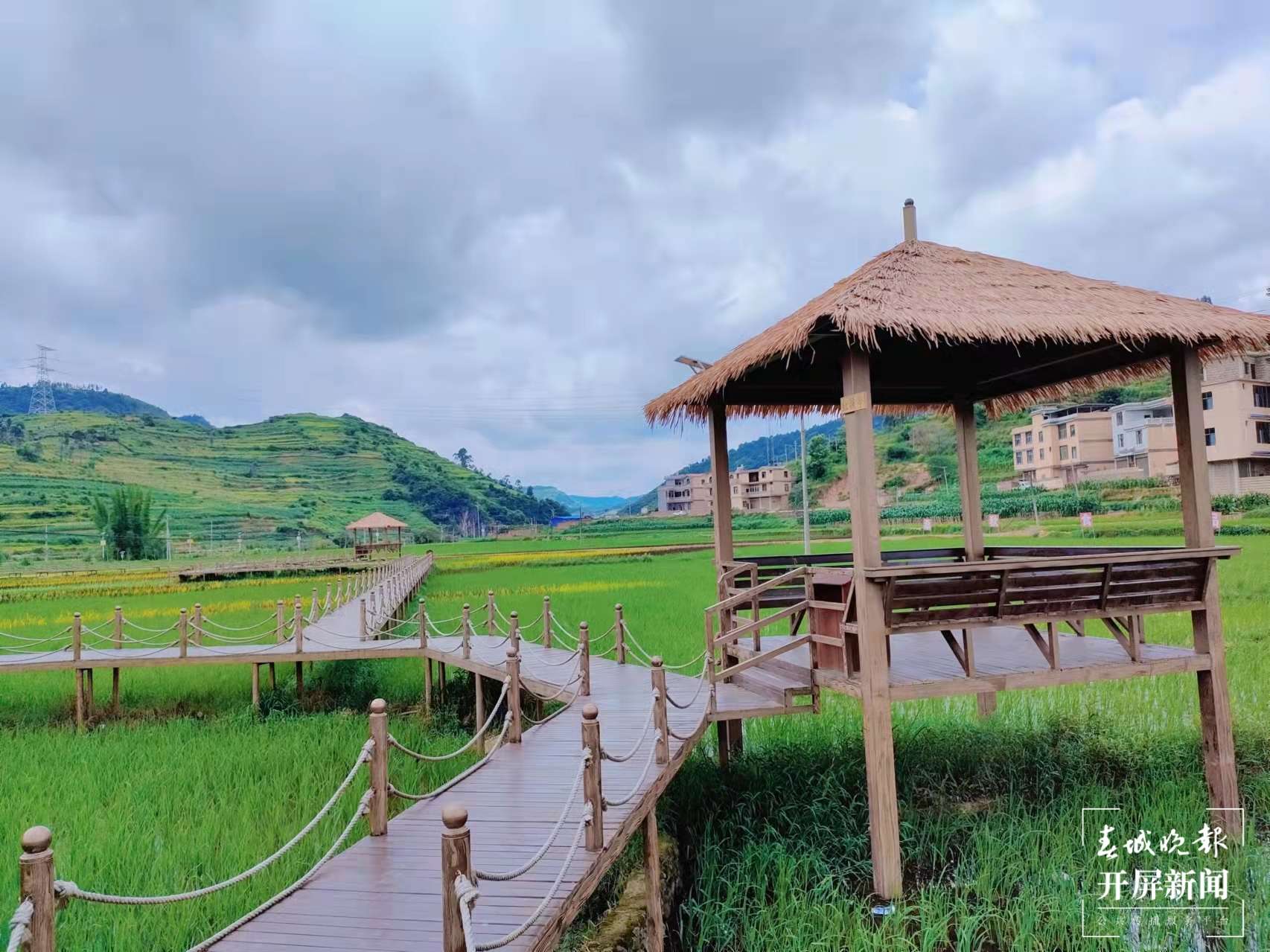 逐梦绿美 好在文山丨生活在这里 幸福指数蹭蹭涨！