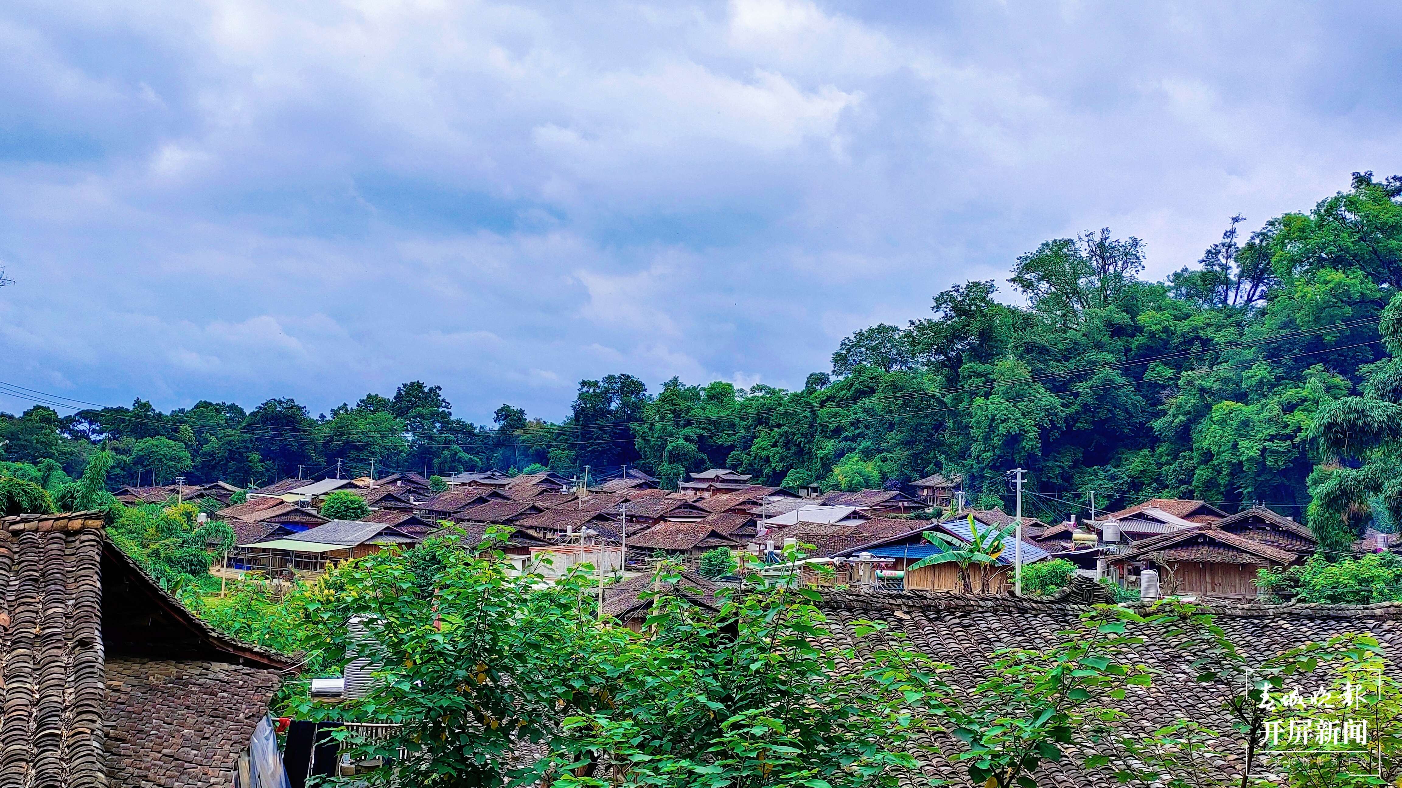 逐梦绿美 好在文山|麻栗坡董湖：山水如画绿生金