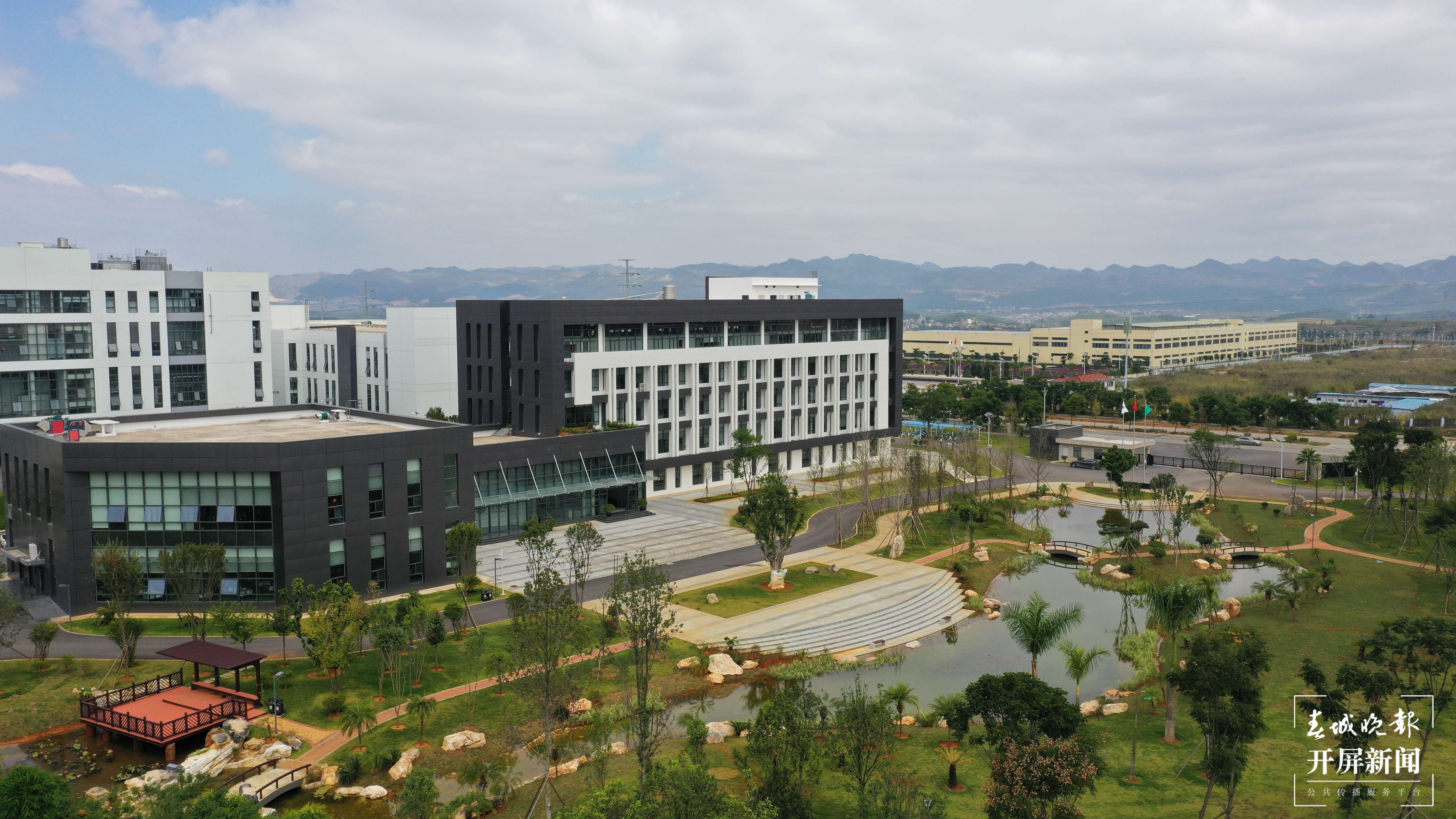 逐梦绿美 好在文山丨文山三七焕发新活力