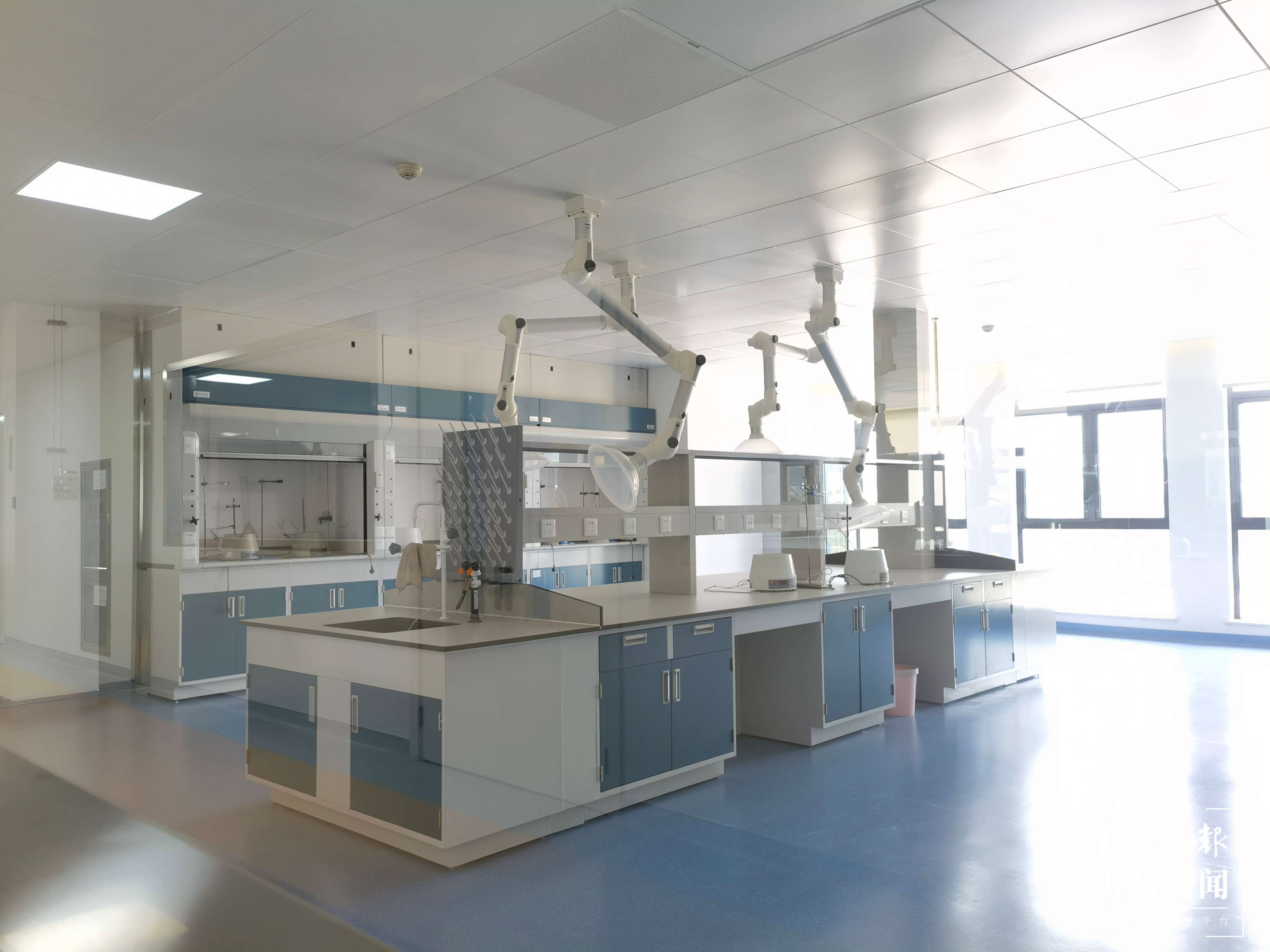 逐梦绿美 好在文山丨文山三七焕发新活力