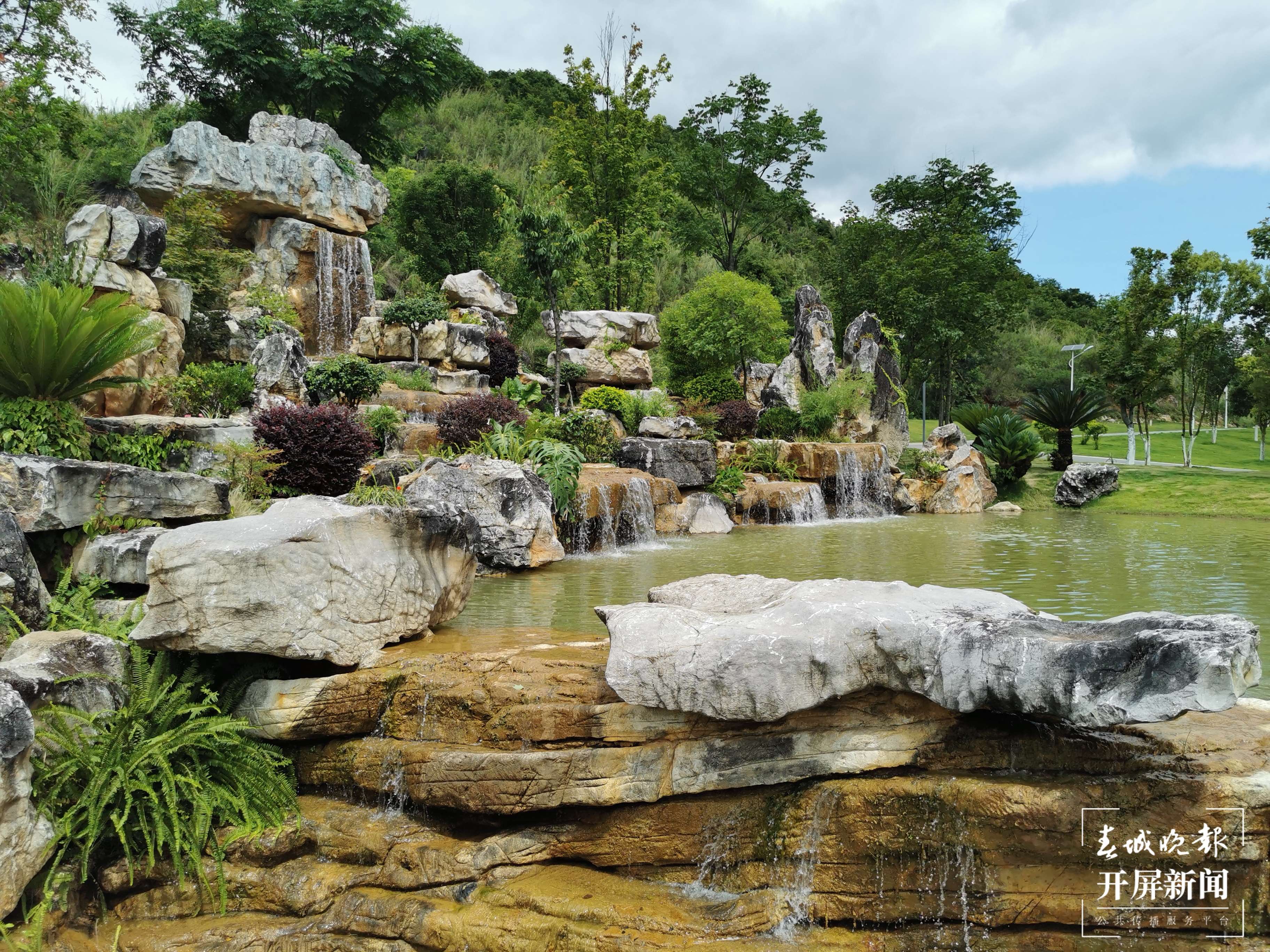 逐梦绿美 好在文山丨文山三七焕发新活力